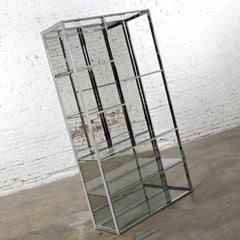 MCM - Modern Chrome & Glass Etagere Mirrored Back Style Design Institute America
