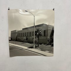 MCM Old Photograph Black & White Street Light Palm Tree #7