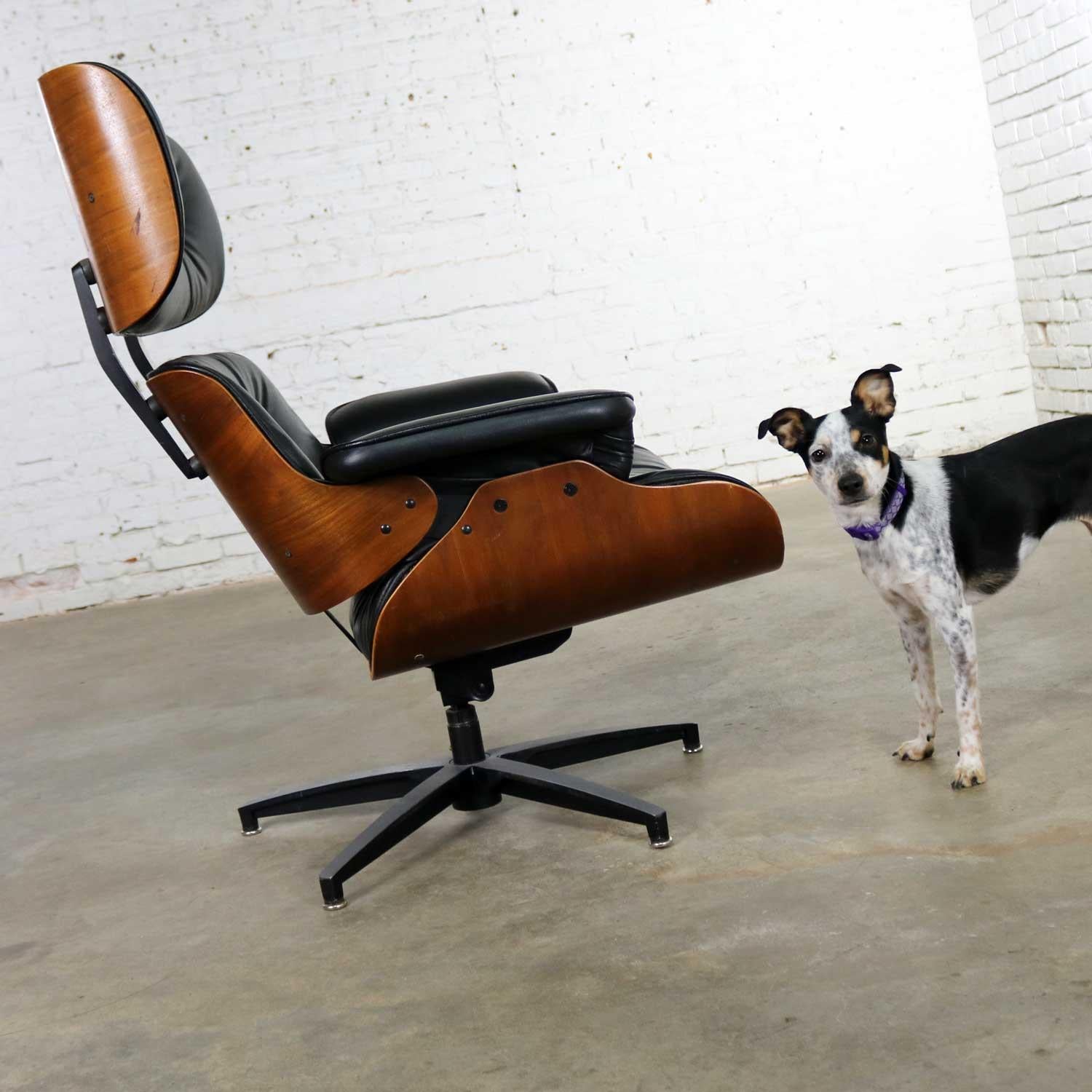 Mcm Selig Black Vinyl & Walnut Lounge Chair Style of Eames Herman Miller In Good Condition In Topeka, KS