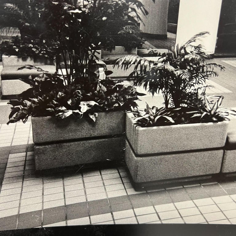 MCM Vintage Art Black and White Building Atrium Old Photograph #1 For ...
