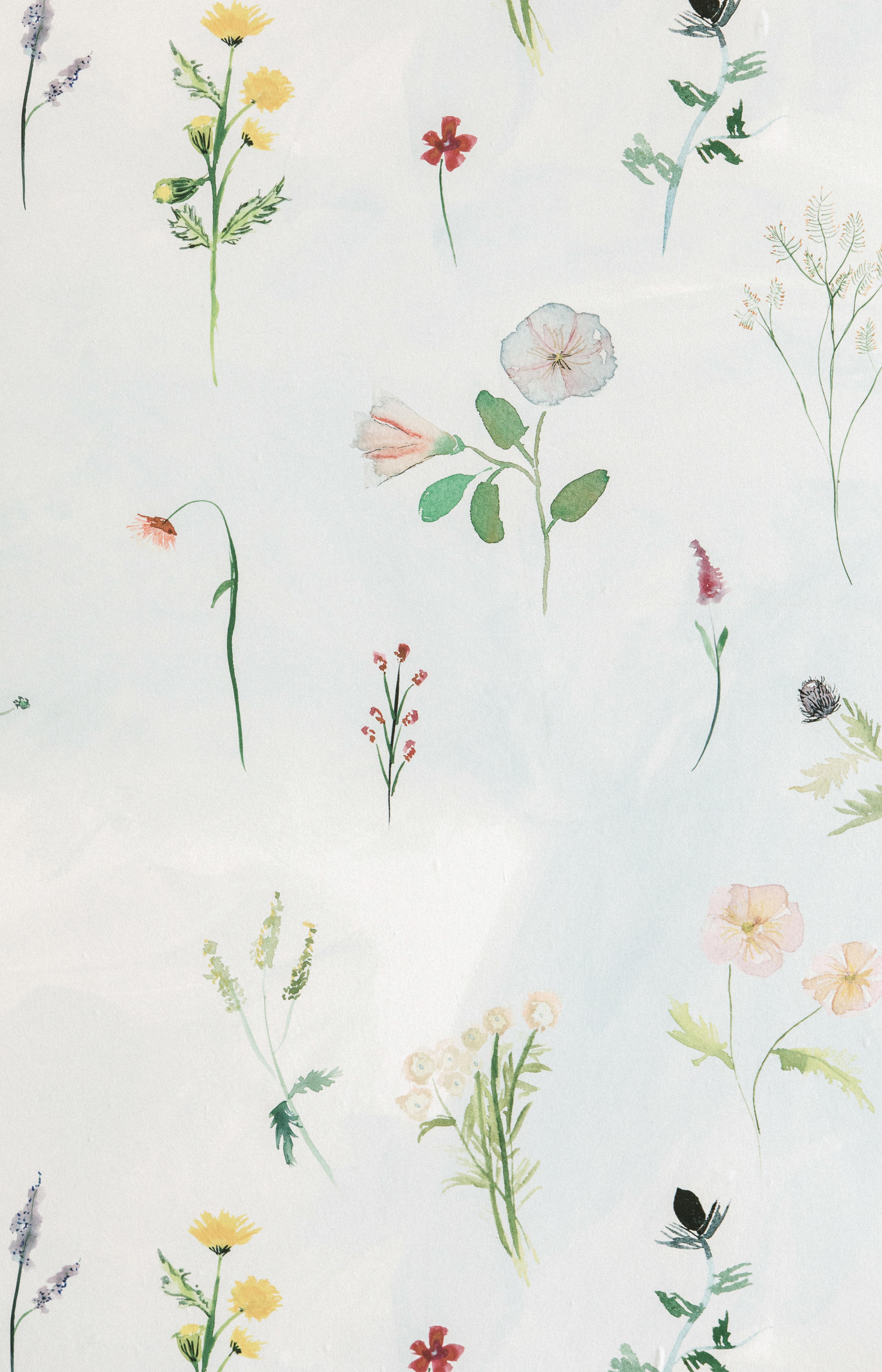 “Meadow” in colorway ‘Bluestocking’ is floral wallpaper pattern designed in house by Flat Vernacular. This airy wallpaper features watercolor paintings inspired by highly resilient flowers (aka weeds) in multiple hues with a faint textural wash of