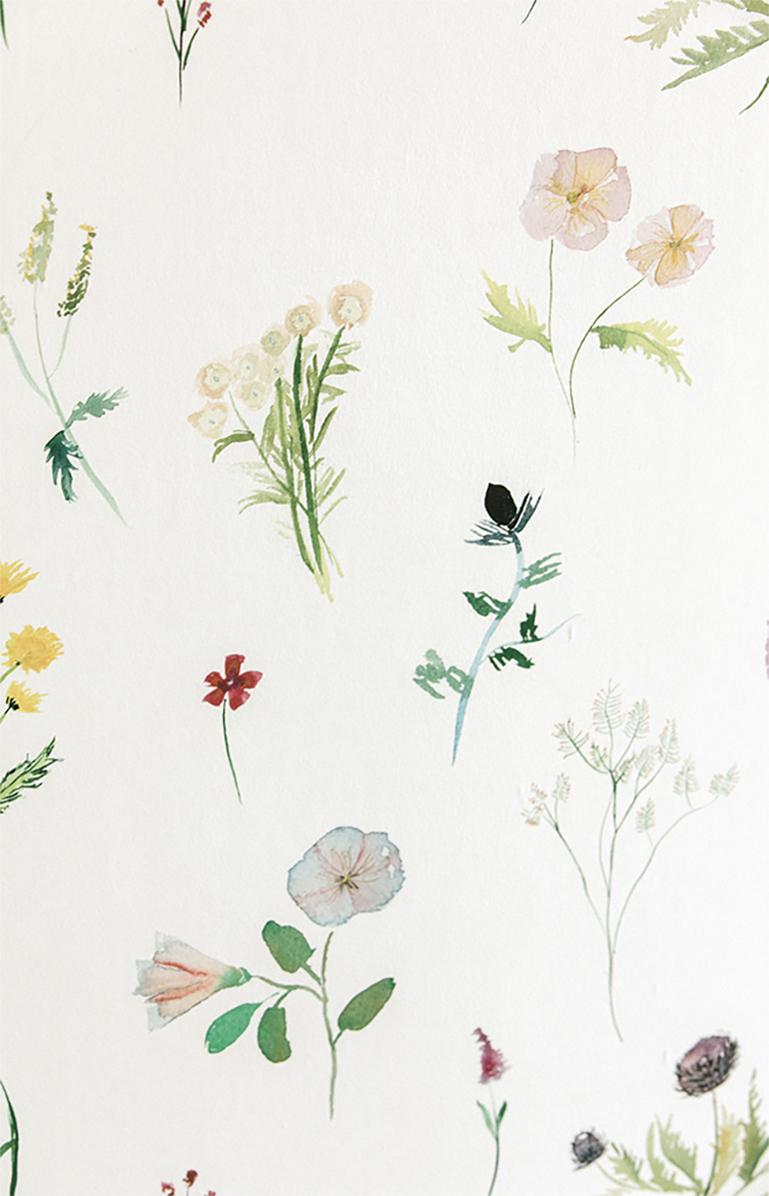 Meadow Heliotrope Gemälde Floral Airy Aquarell-Tapete (amerikanisch) im Angebot
