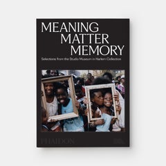 Meaning Matter Memory Selections from the Studio Museum in Harlem Collection