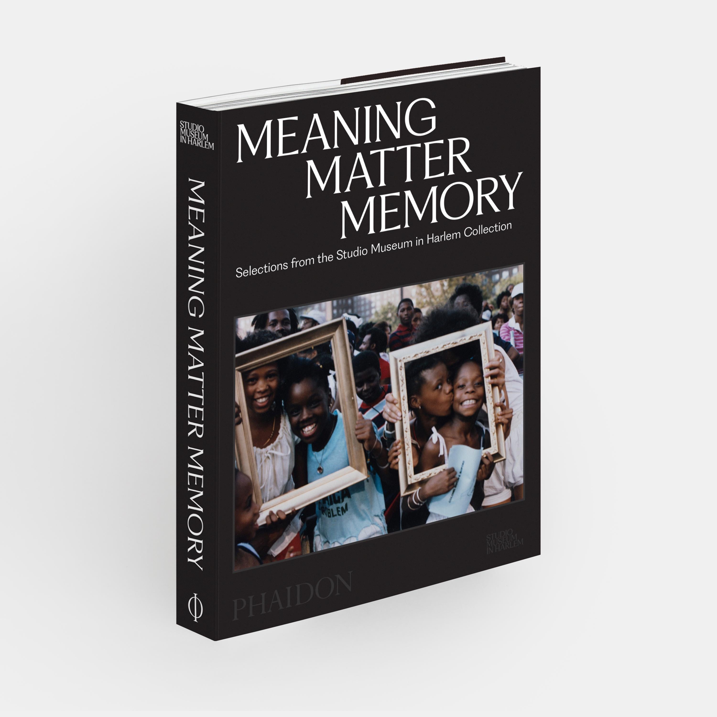 Cinese Significato Materia Memoria Selezioni dalla collezione dello Studio Museum di Harlem in vendita