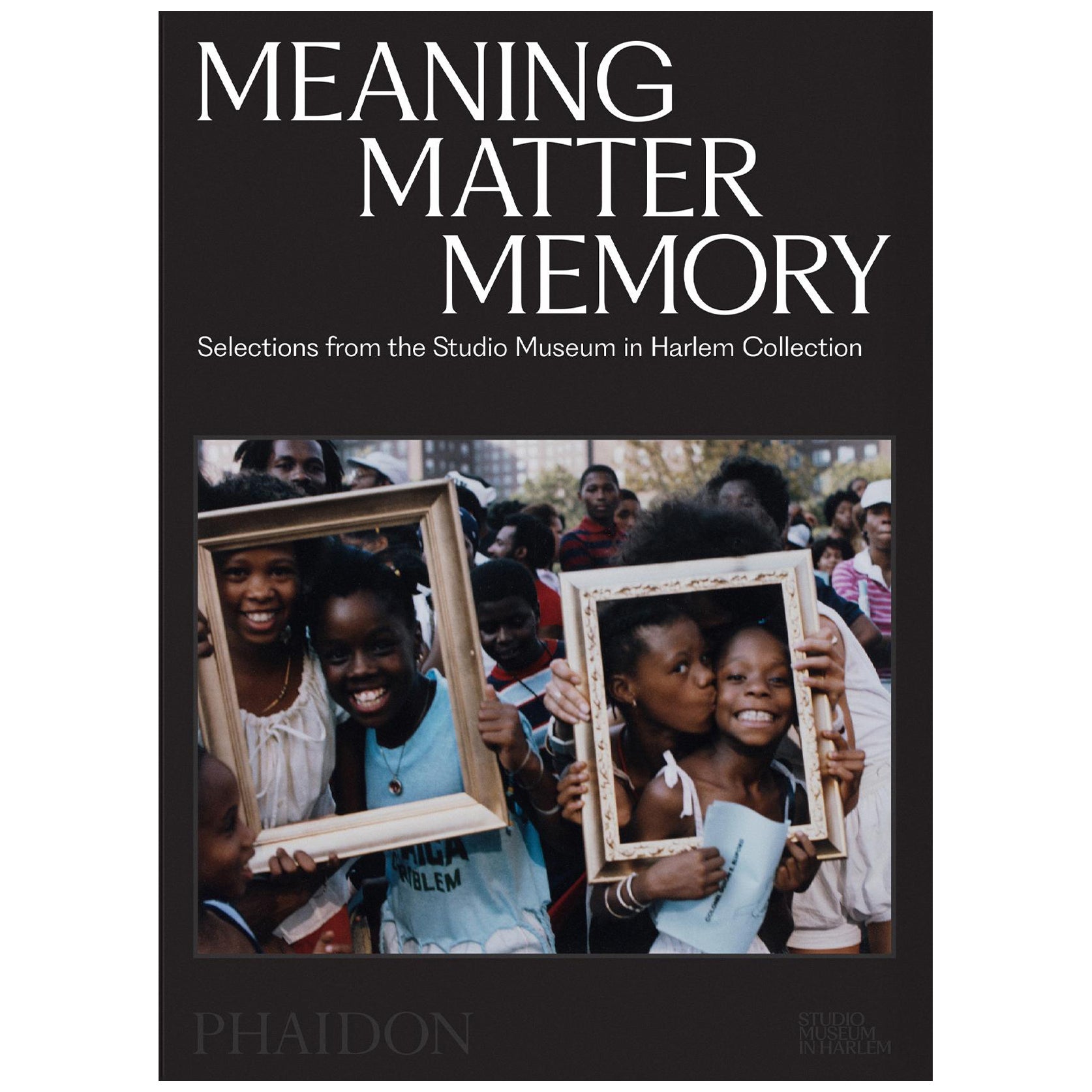 Significato Materia Memoria Selezioni dalla collezione dello Studio Museum di Harlem in vendita