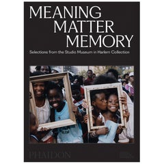 Significato Materia Memoria Selezioni dalla collezione dello Studio Museum di Harlem