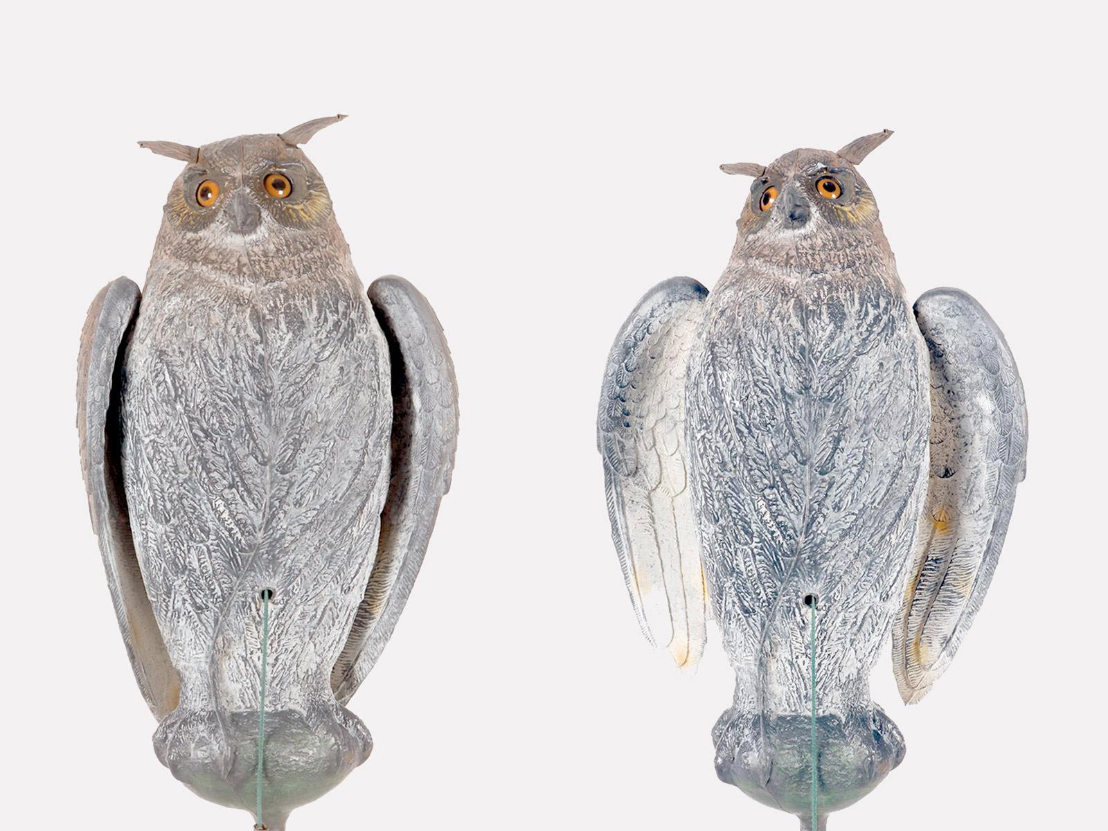 italien Appeau de chasse mécanique en forme de hibou, Italie, années 1950. en vente