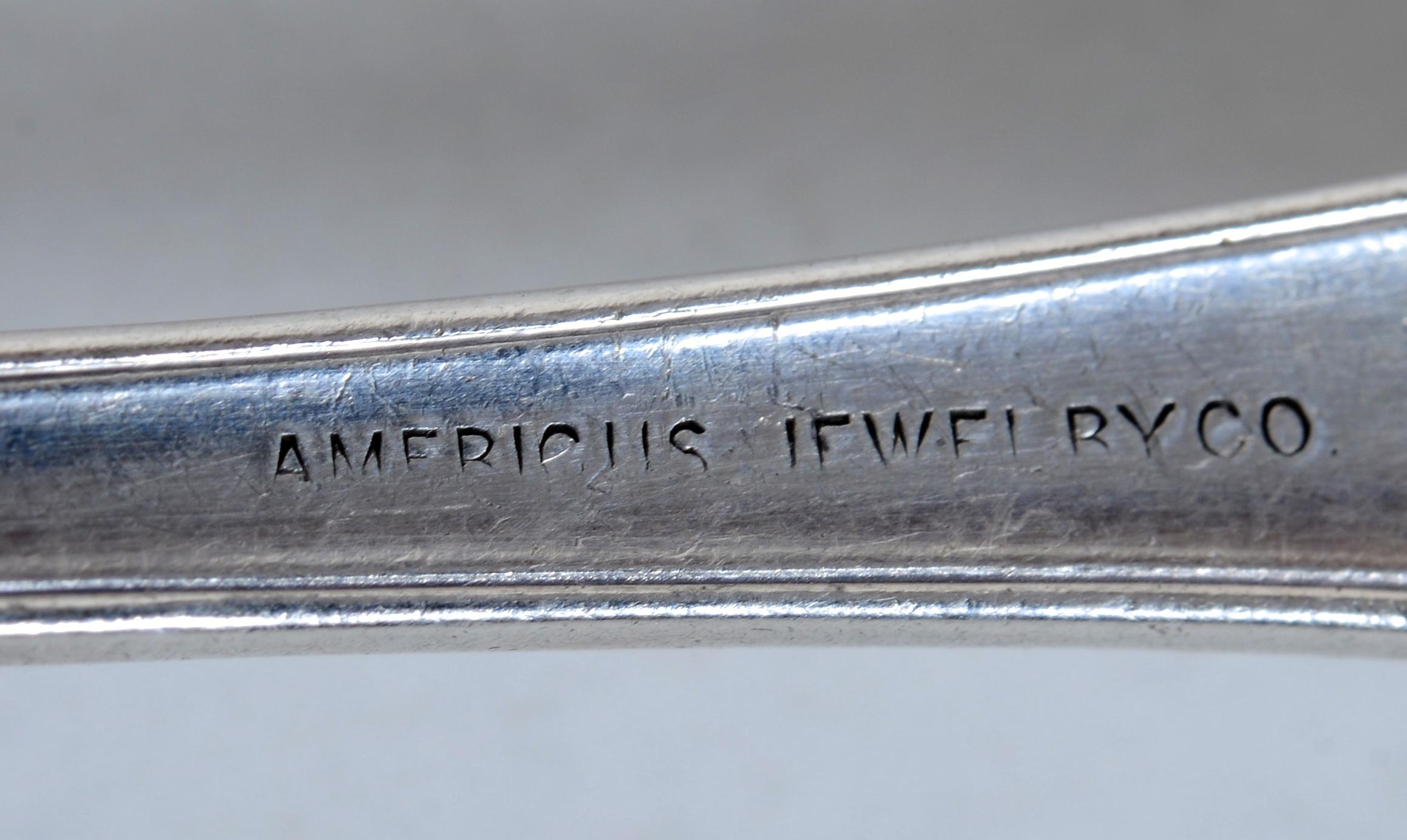 Mechanics Sterling Co. Preserve Spoon in the Eugenie Pattern Late 19th c For Sale 1