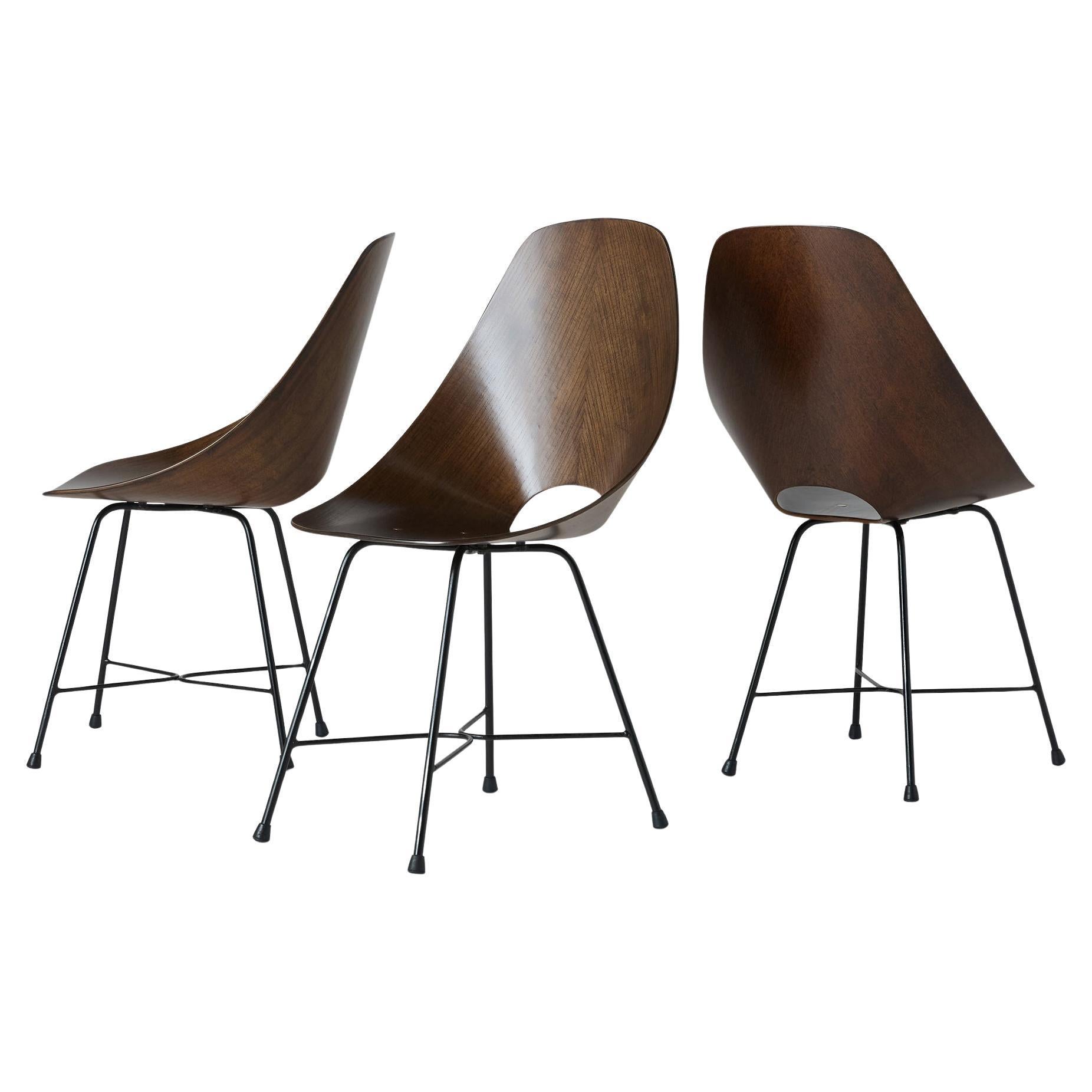 Medea Chairs by Vittorio Nobili for Fratelli Tagliabue