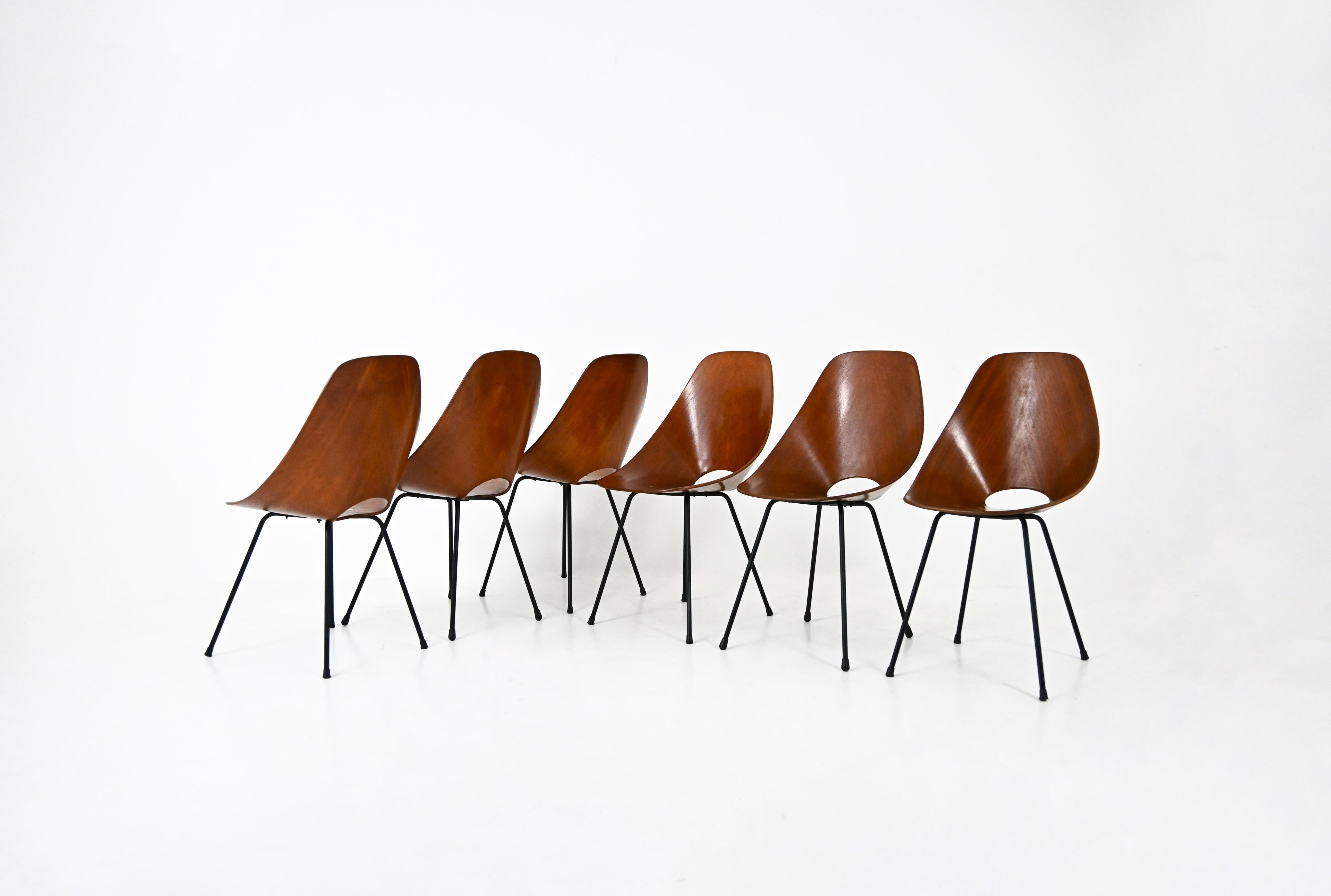 Ensemble de 6 chaises en bois et métal de Vittorio Nobilis, modèle Medea. Hauteur du siège : 44 cm. Usure due au temps et à l'âge de la chaise.
POUR L'EXPÉDITION, NOUS CONSULTER POUR OBTENIR LE MEILLEUR PRIX
