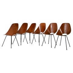 "Medea" Chairs by Vittorio Nobili for Frattelli Tagliabue, 1950s, set of 6