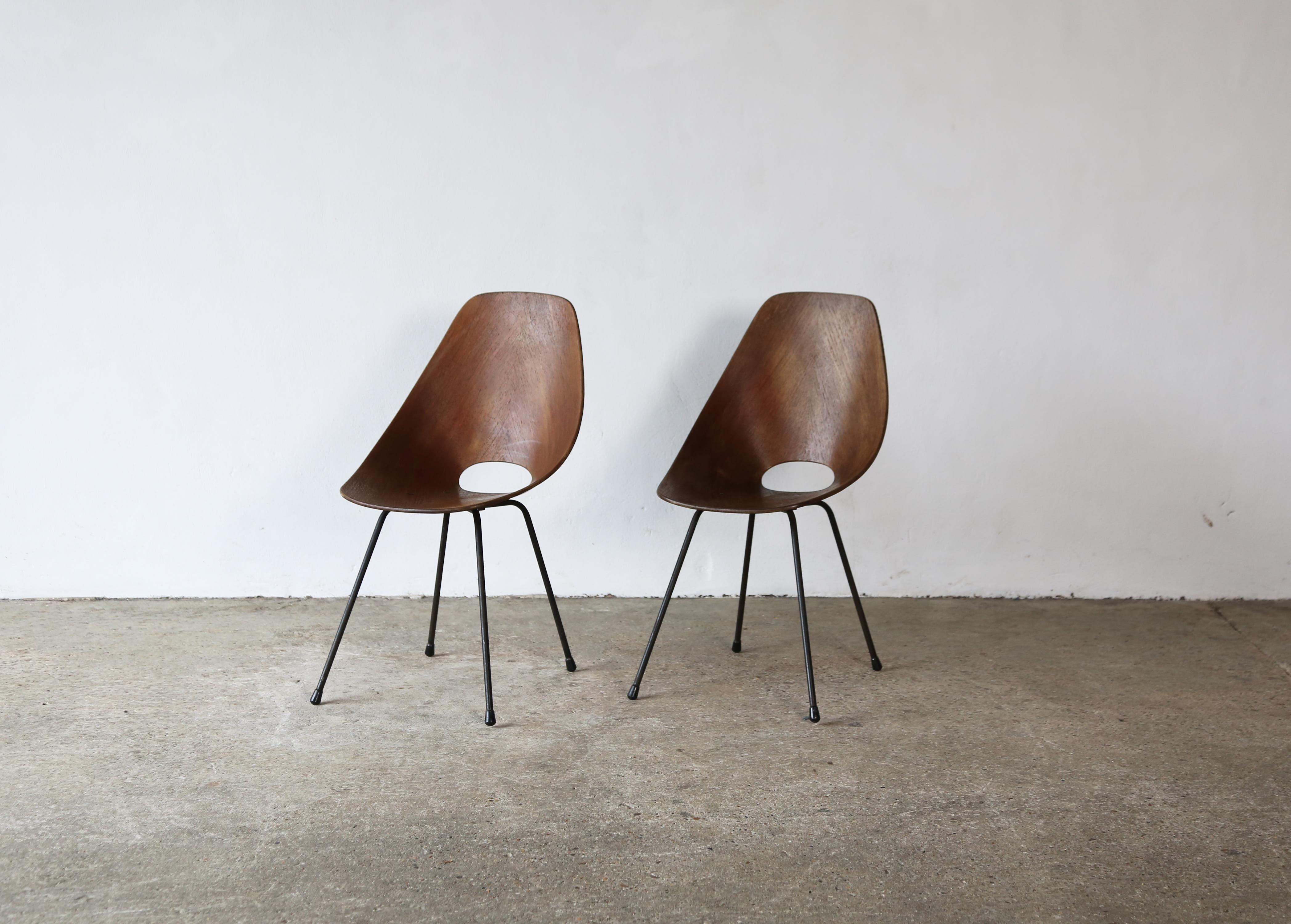 Mid-Century Modern Medea Chairs by Vittorio Nobili, Fratelli Tagliabue, Italy, 1950s For Sale