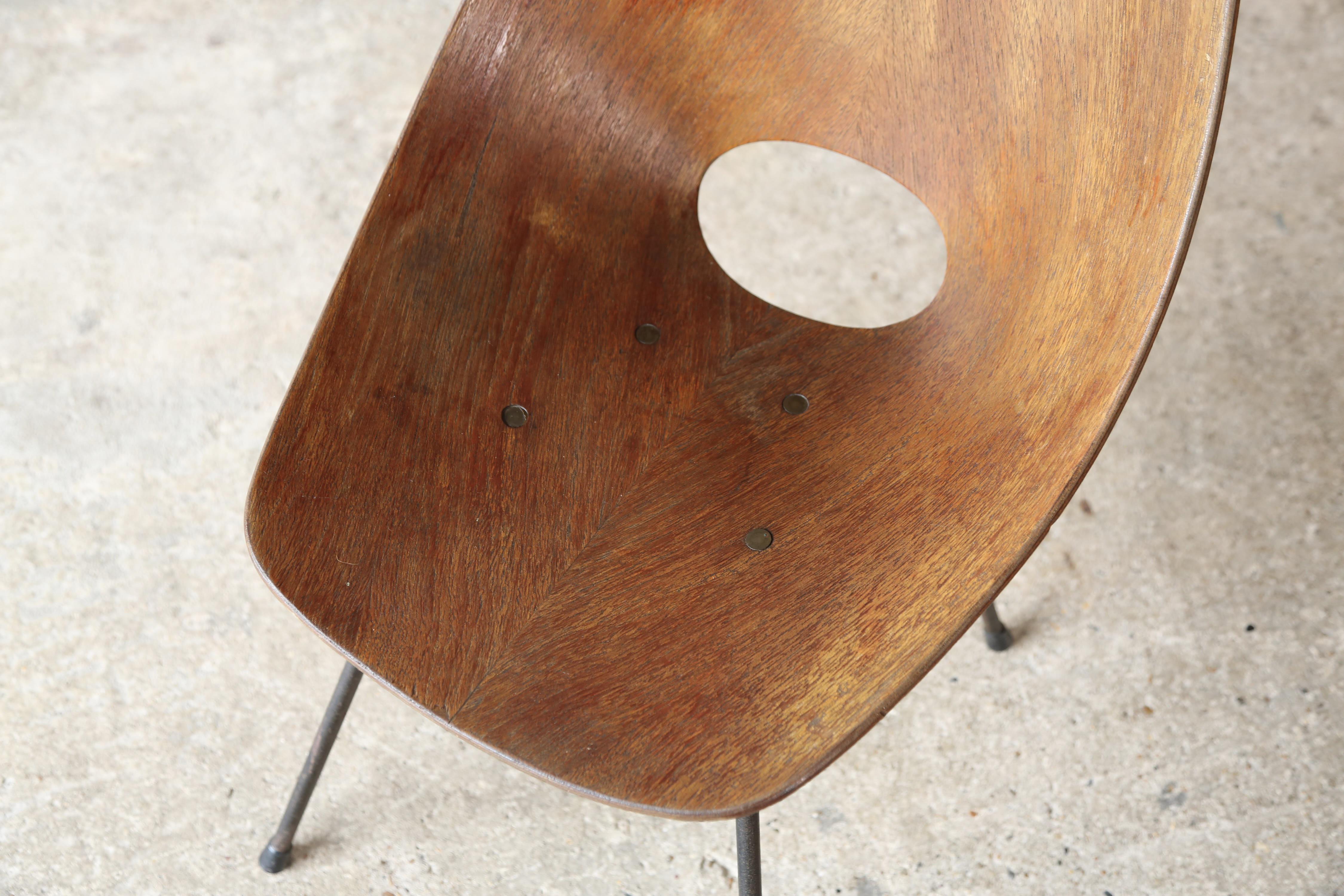 20th Century Medea Chairs by Vittorio Nobili, Fratelli Tagliabue, Italy, 1950s For Sale