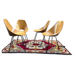 medea chairs by Vittorio Nobili, Tagliabue brothers of the 50s