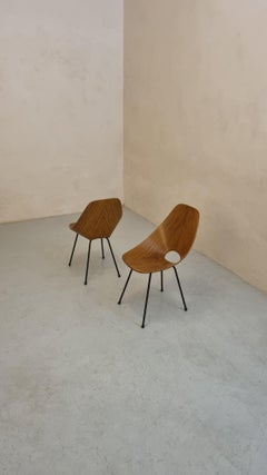 Medea chairs designed by Vittorio Nobili for Fratelli Tagliabue, Italy, 1956