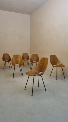 Chaises « Medea » conçues par Vittorio Nobili pour Fratelli Tagliabue, Italie, 1956