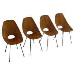 Medea chairs designed by Vittorio Nobili for Fratelli Tagliabue, Italy, 1956