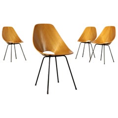 Medea Chairs, Plywood and Metal, Italy, 1950s-1960s