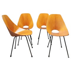Used Midcentury Italian Medea Chair by Vittorio Nobili, Set of 4