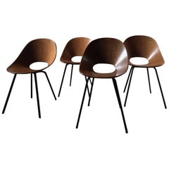 Medea Chairs Vittorio Nobili for Fratelli Tagliabue 1960s Set of Four