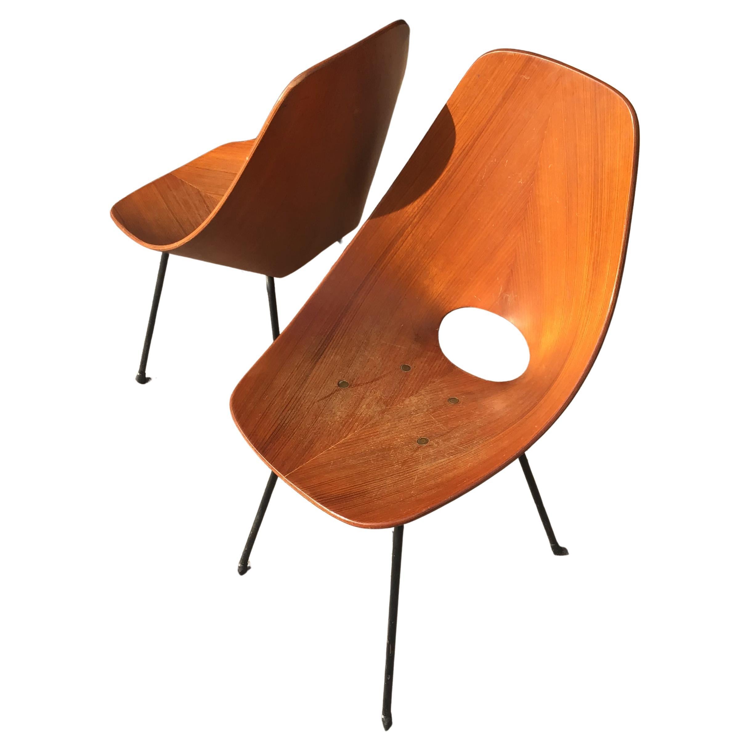Medea "Fratelli Tagliabue " N. 2 Chair Brass Iron curved Wood 1950 Italy 