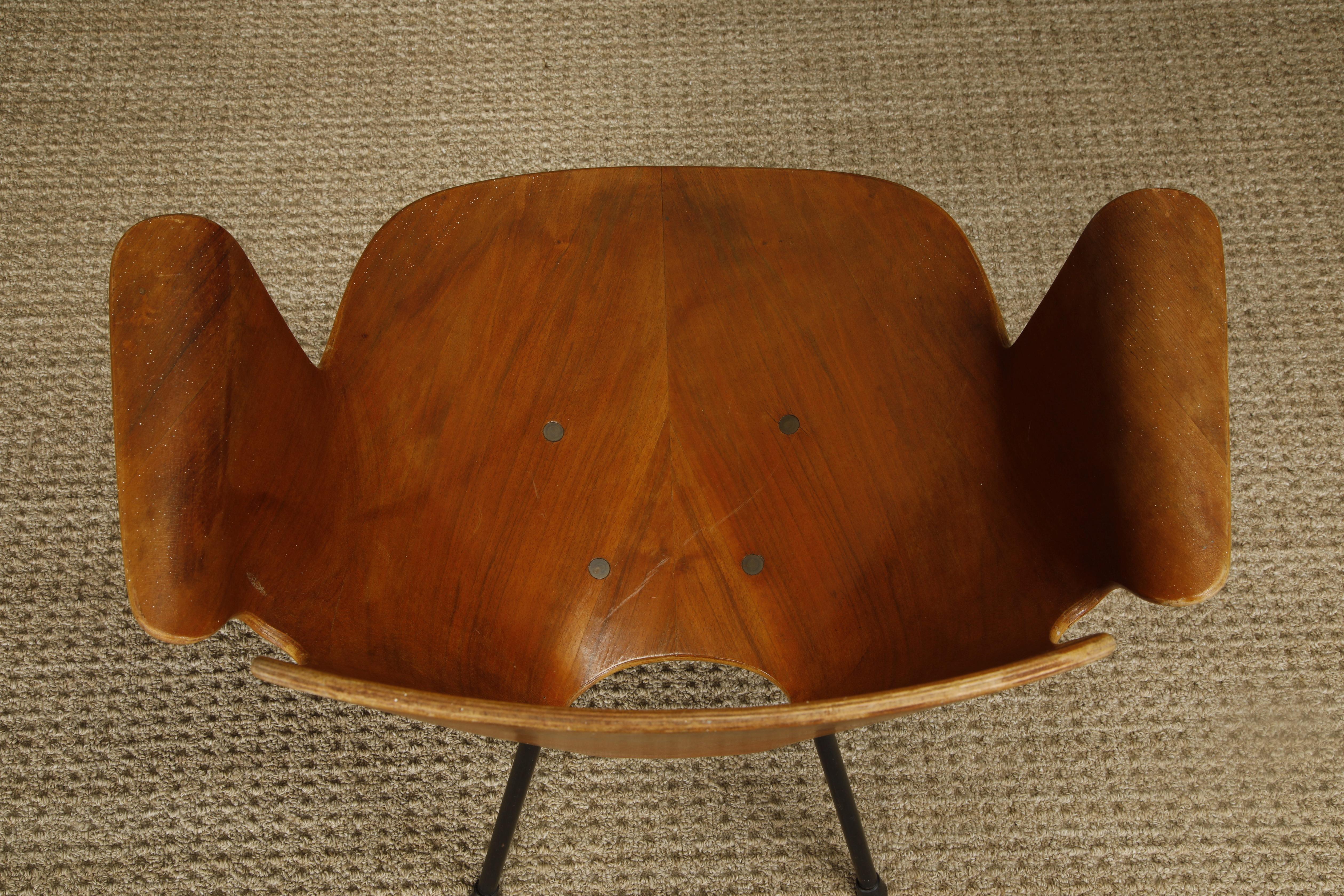 'Medea' Model 102 Bentwood Armchair by Vittorio Nobili, c 1955 Italy, Signed For Sale 11