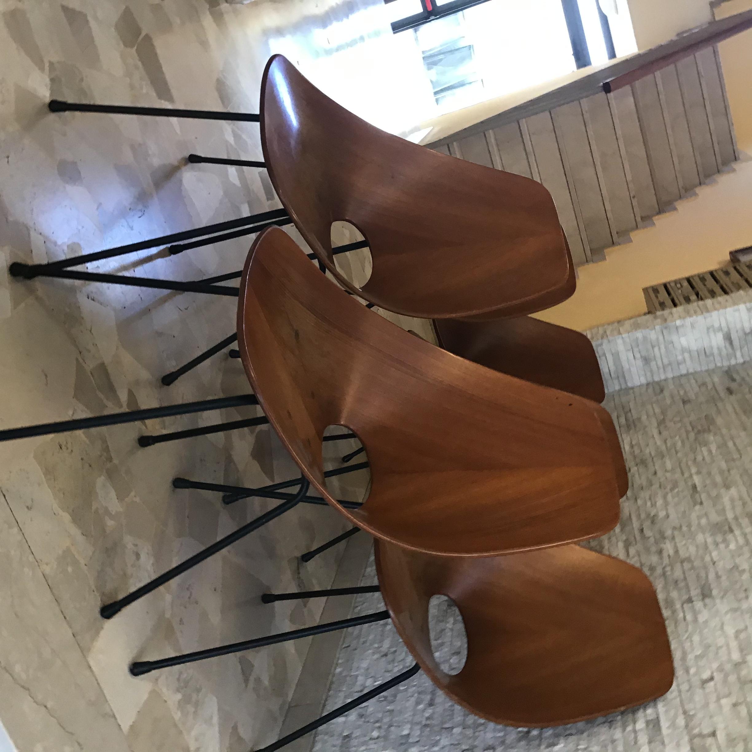 Medea N 6 Chairs “F.lli Tagliabue “ Brass Iron Wood 1950 Italy in vendita 4