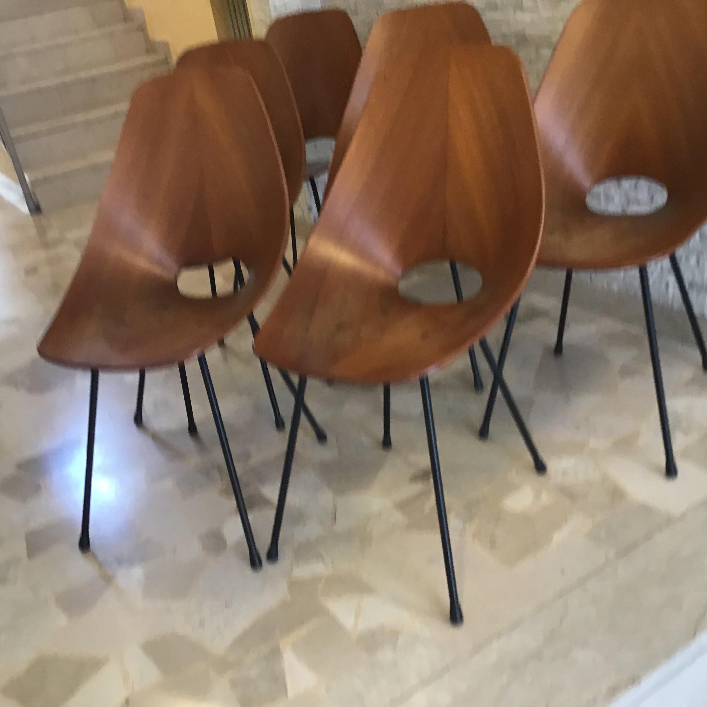 Medea N 6 Chairs 