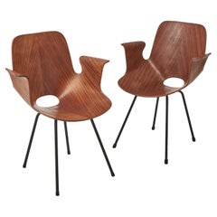 Antique 'Medea' N102 Chairs By Vittorio Nobili
