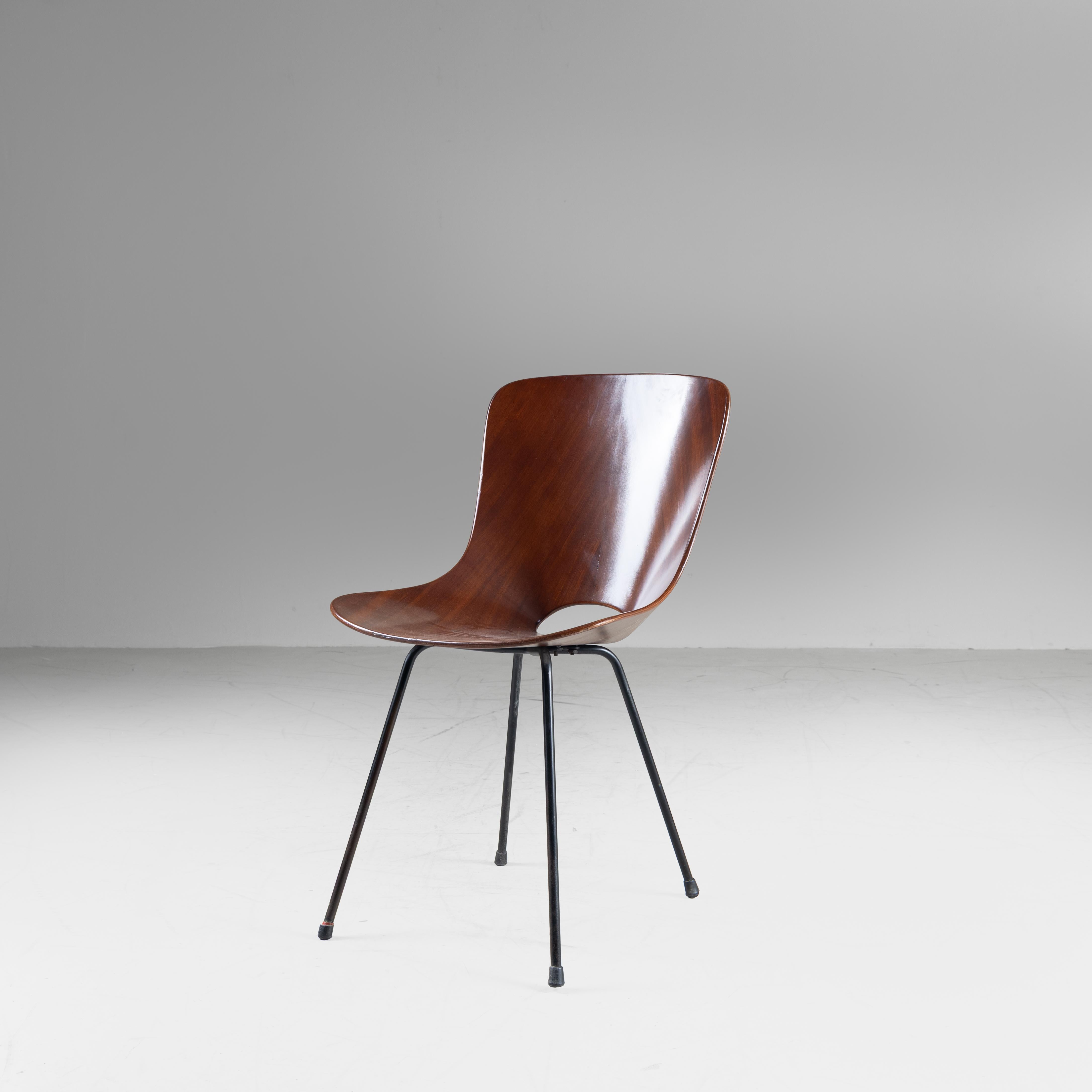 Sillas Medea Vittorio Nobili 1955, juego de 5 mediados del siglo XX en venta