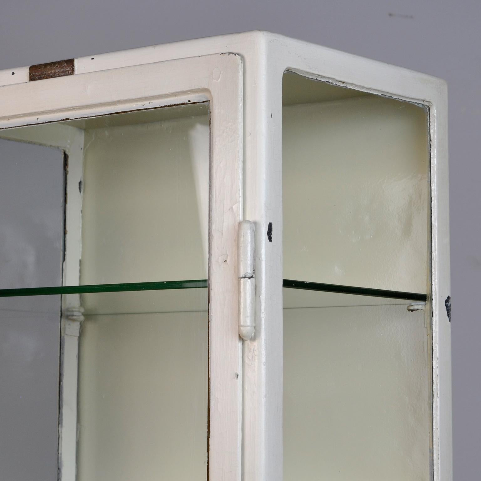 Medical Iron and Glass Cabinet, 1930s 3