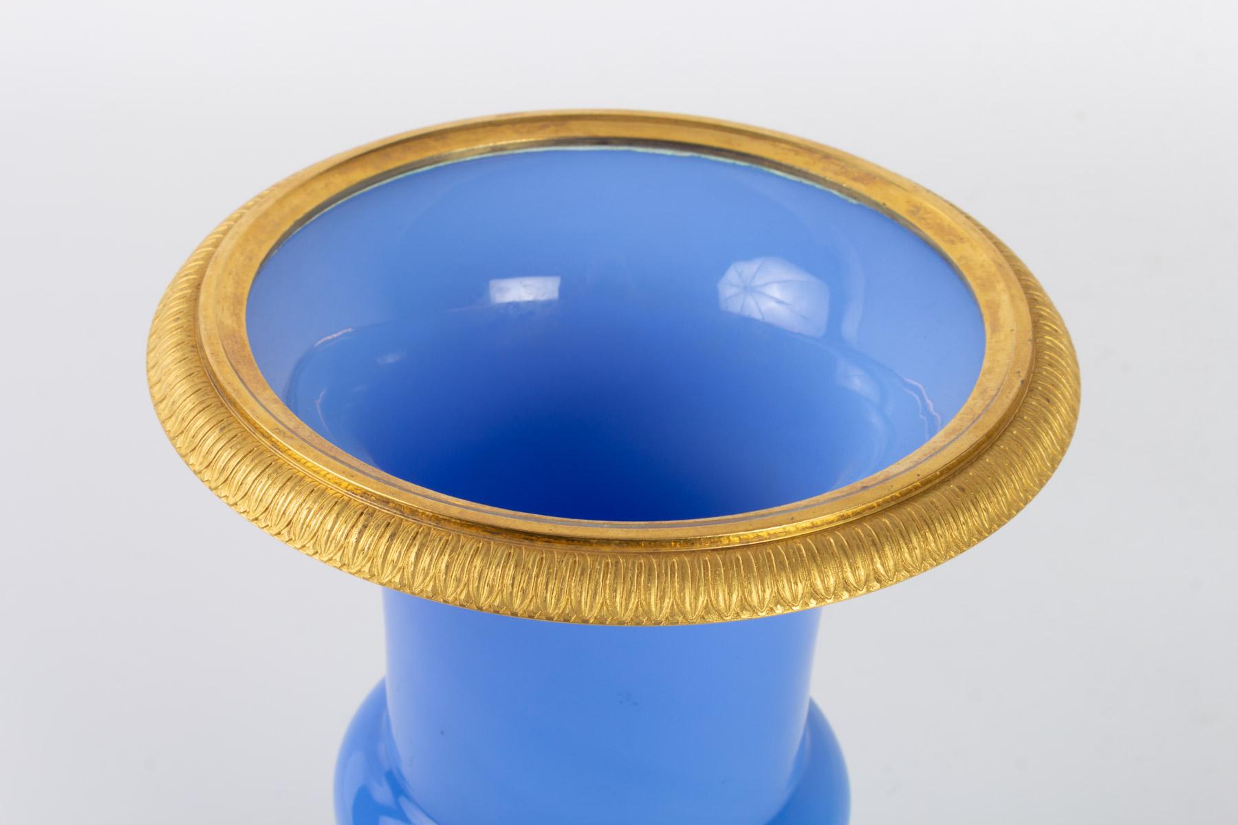 Medici vase, Charles X period, opaline and golden bronze, 19th century, lavender blue color

Measures: H 23cm, D 18cm.