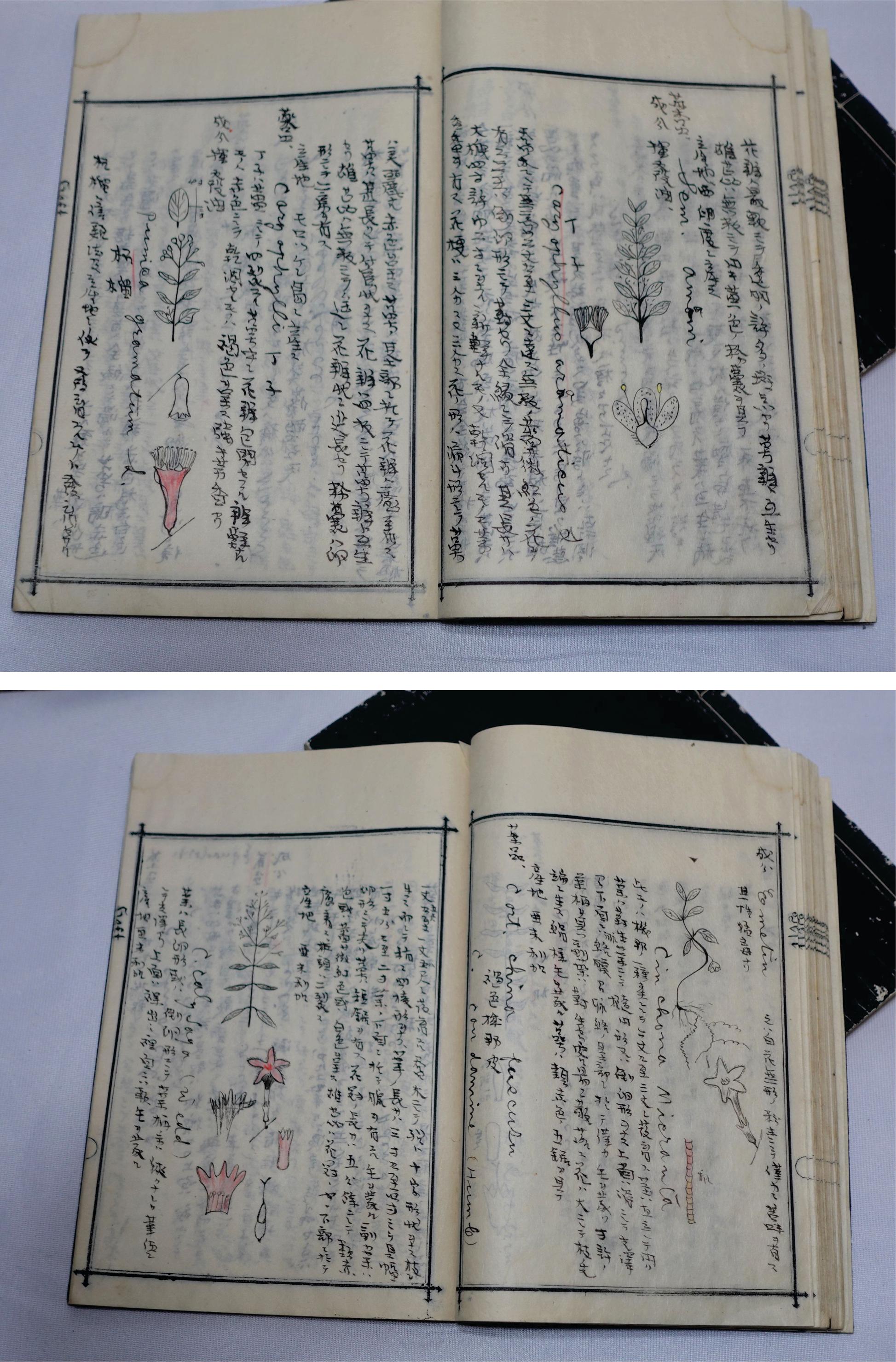Medicine Manuscript Koyto Imperial University-Collection Lecture Notebook 1900 For Sale 5