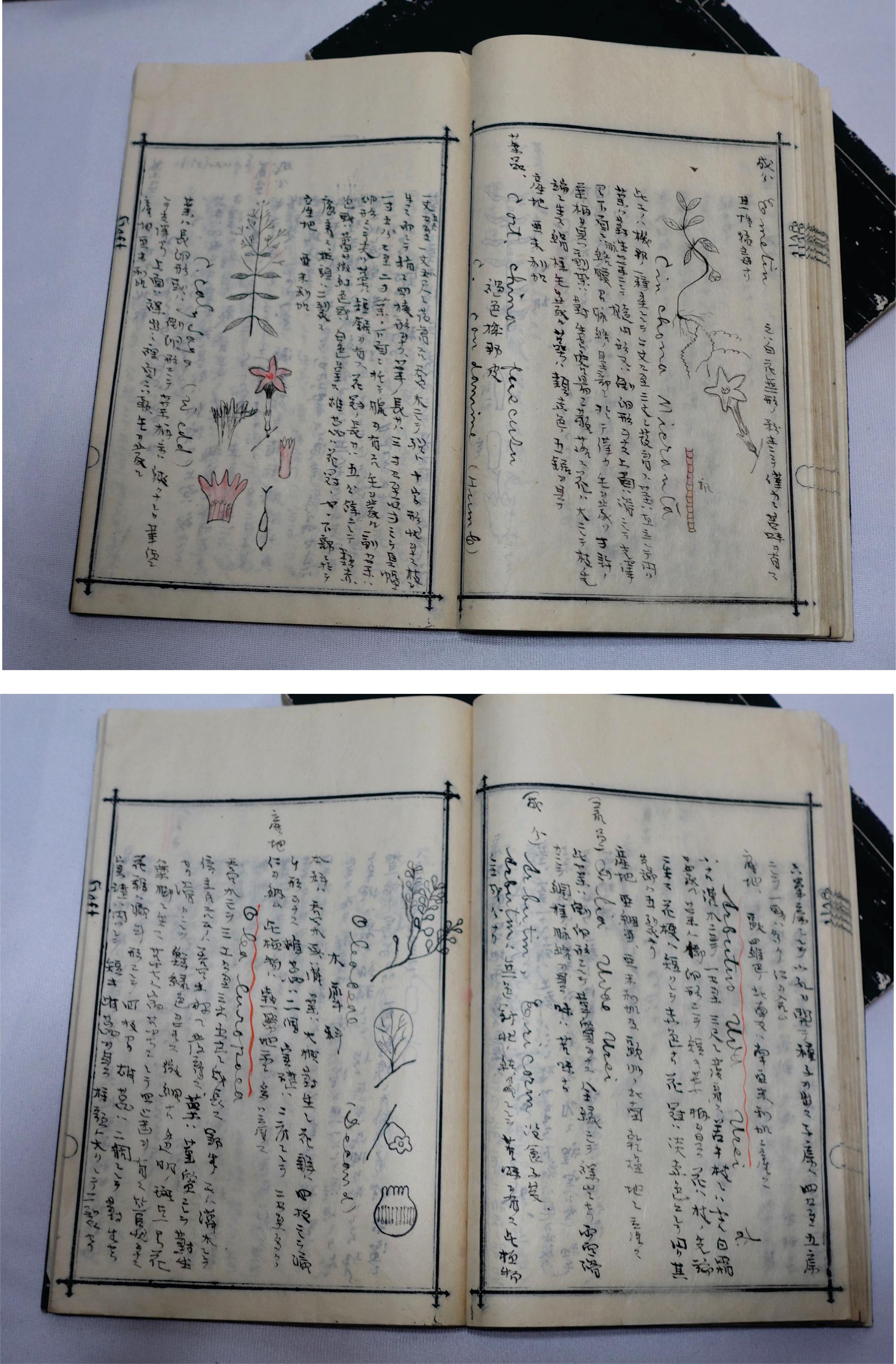 Medicine Manuscript Koyto Imperial University-Collection Lecture Notebook 1900 For Sale 6