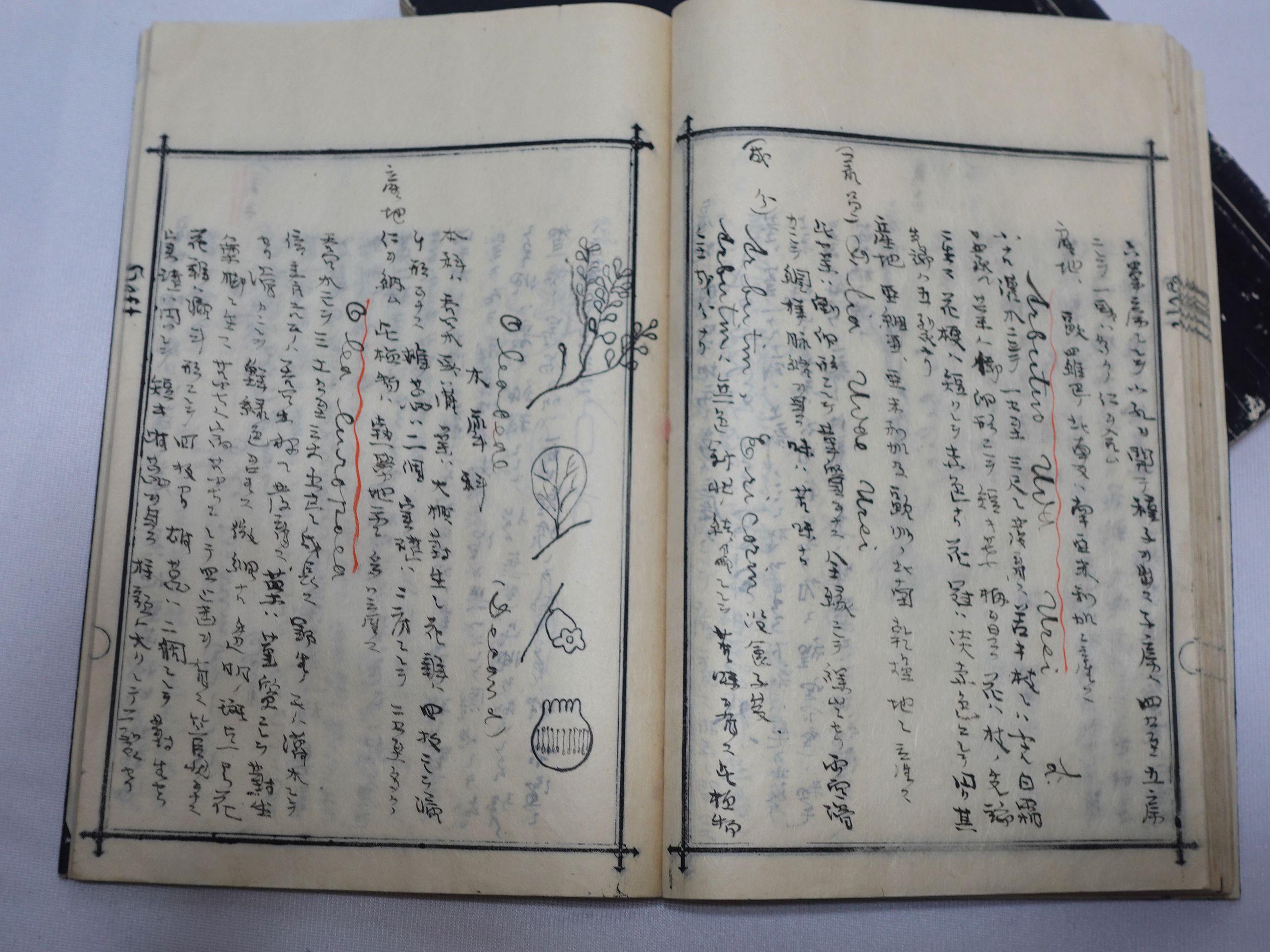 Medicine Manuscript Koyto Imperial University-Collection Lecture Notebook 1900 For Sale 10
