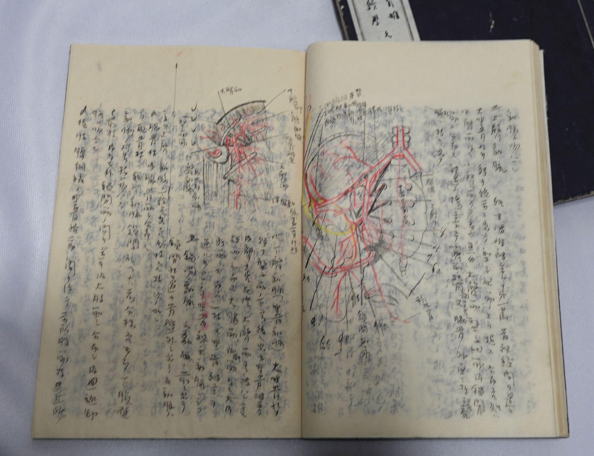 Medicine Manuscript Koyto Imperial University-Collection Lecture Notebook 1900 For Sale 12