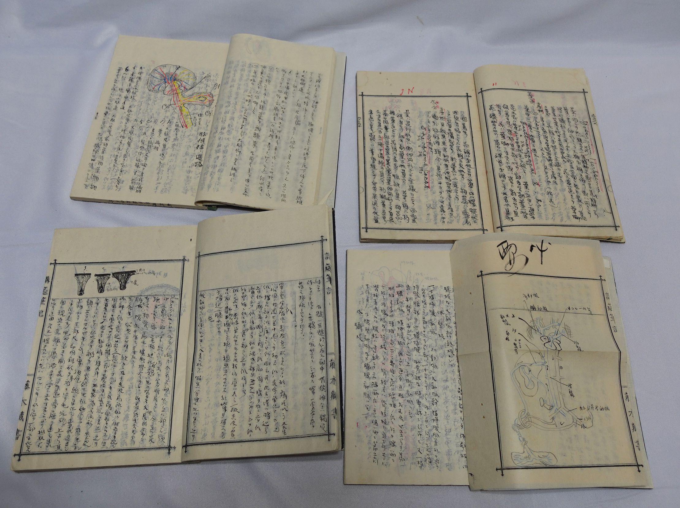Japanese Medicine Manuscript Koyto Imperial University-Collection Lecture Notebook 1900 For Sale
