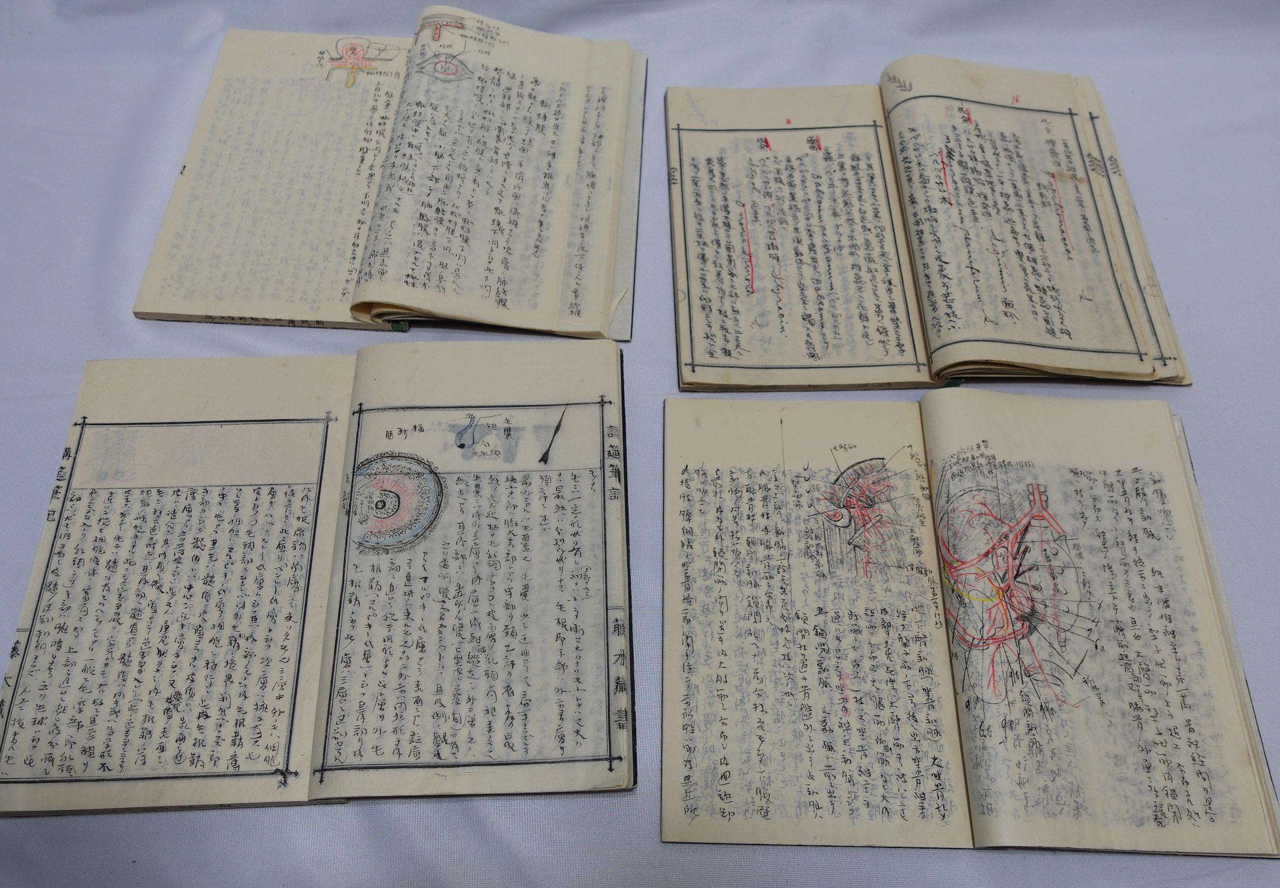 Hand-Painted Medicine Manuscript Koyto Imperial University-Collection Lecture Notebook 1900 For Sale