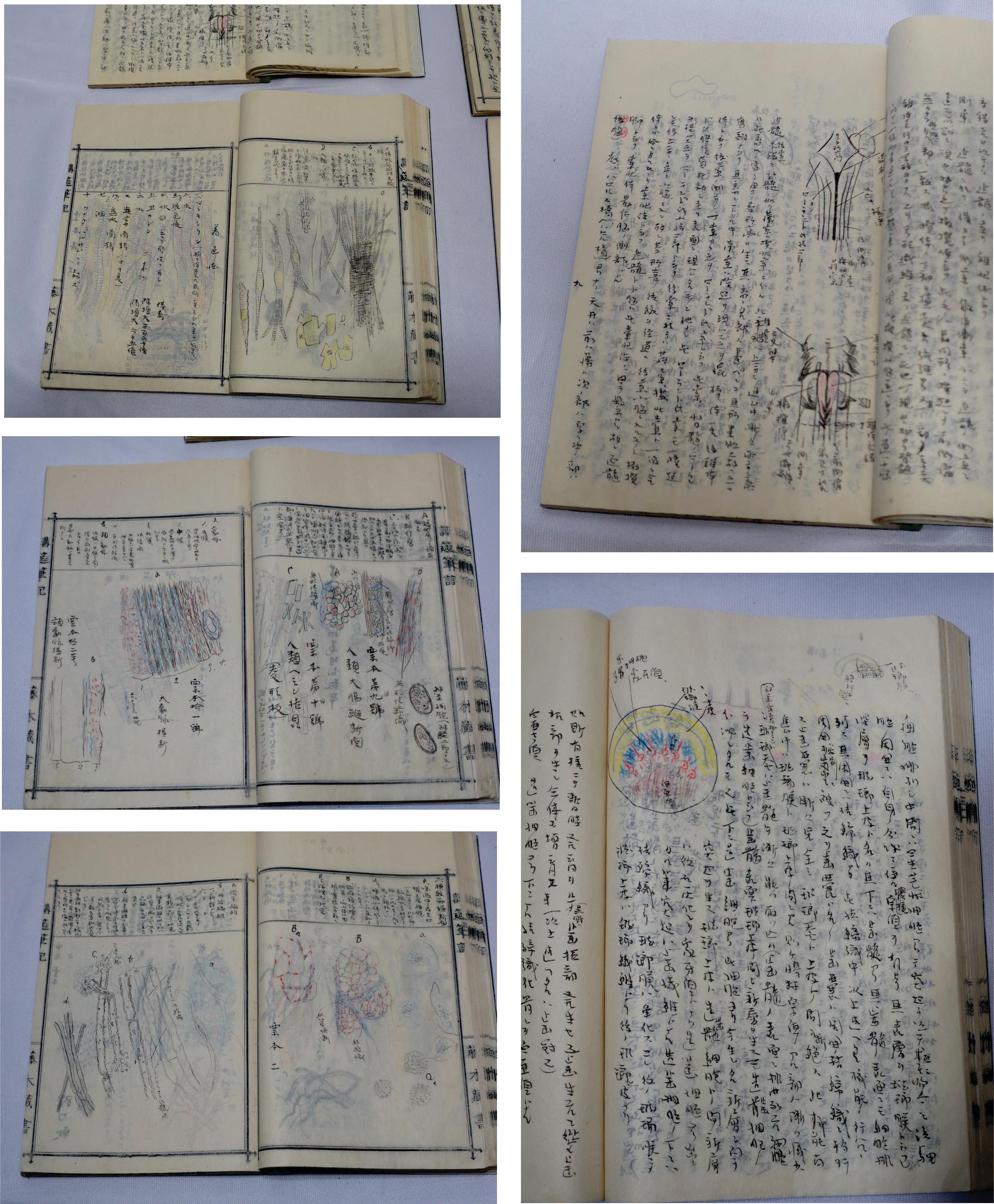 Medicine Manuscript Koyto Imperial University-Collection Lecture Notebook 1900 In Good Condition For Sale In Norton, MA