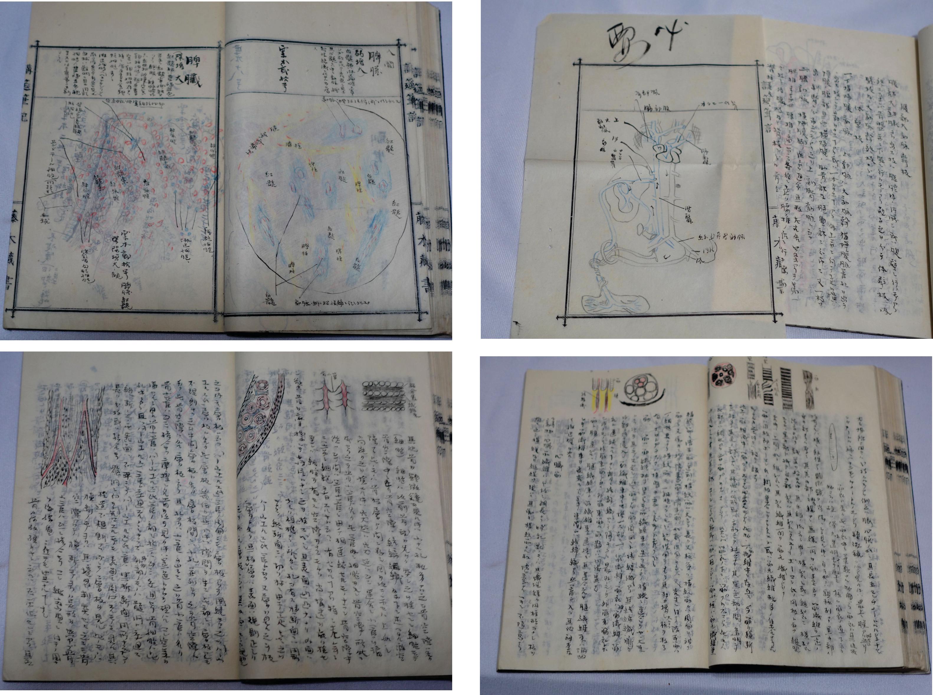 Early 20th Century Medicine Manuscript Koyto Imperial University-Collection Lecture Notebook 1900 For Sale