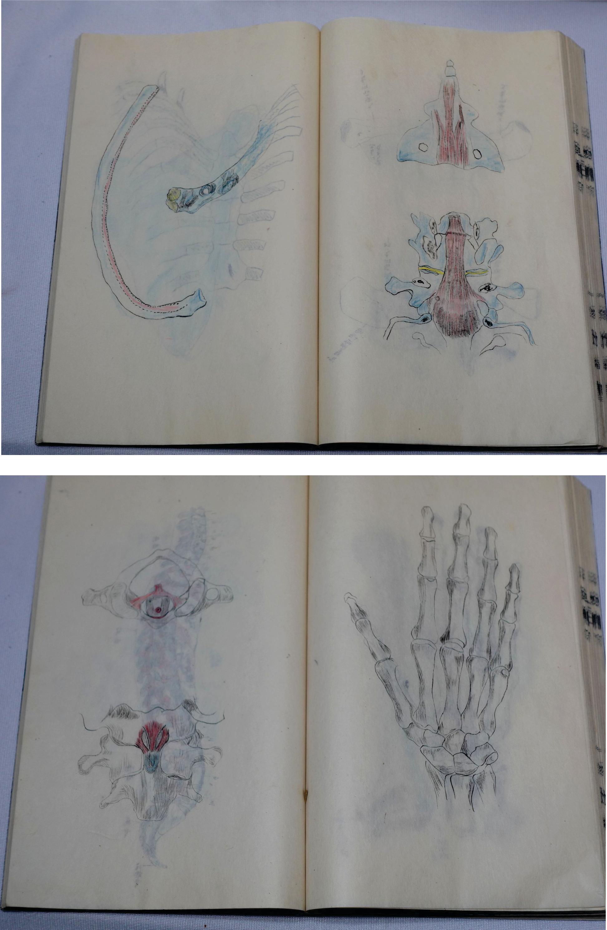 Paper Medicine Manuscript Koyto Imperial University-Collection Lecture Notebook 1900 For Sale