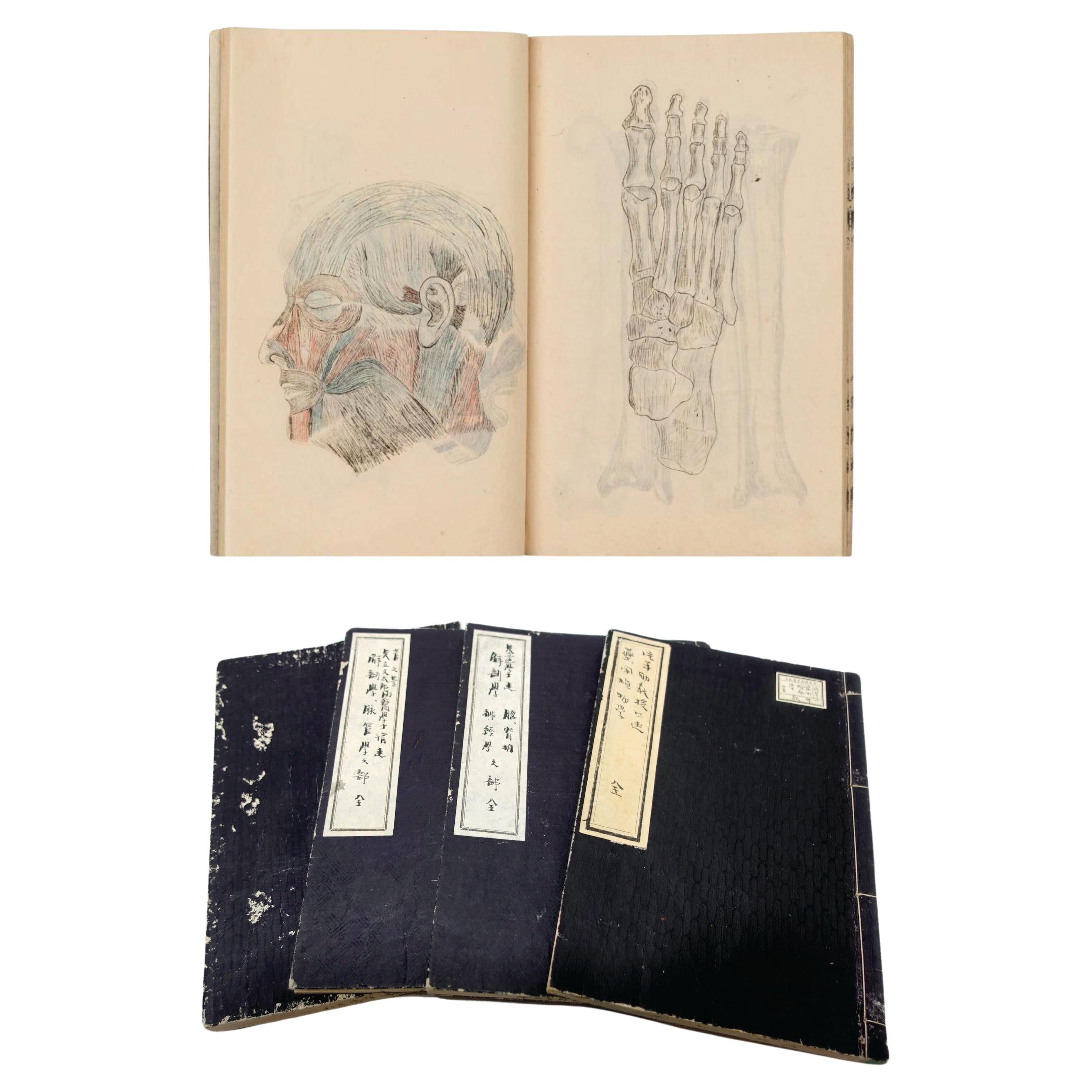 Medicine Manuscript Koyto Imperial University-Collection Lecture Notebook 1900 For Sale