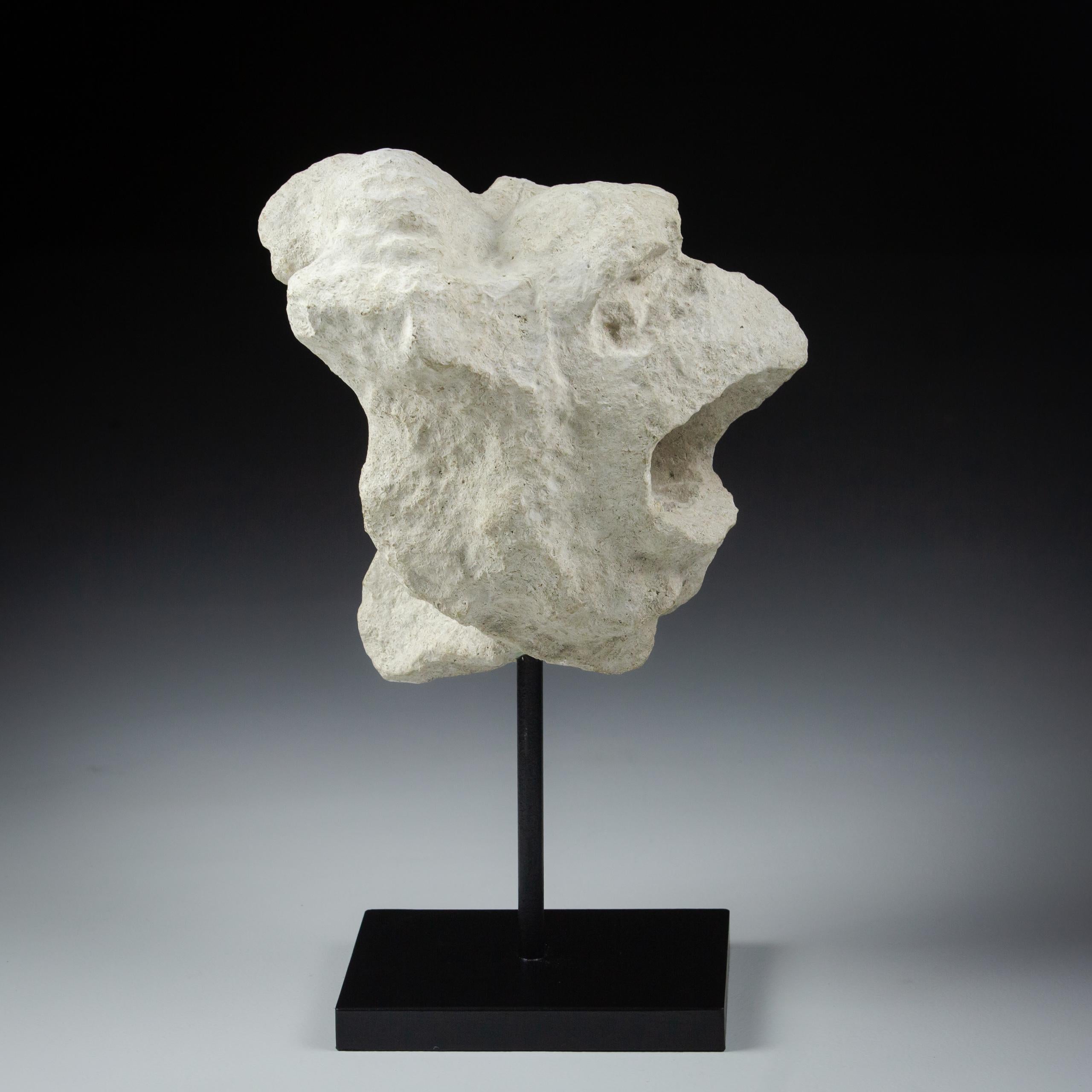 Limestone Medieval Gargoyle Water Spout in Pierre de Bourgogne For Sale