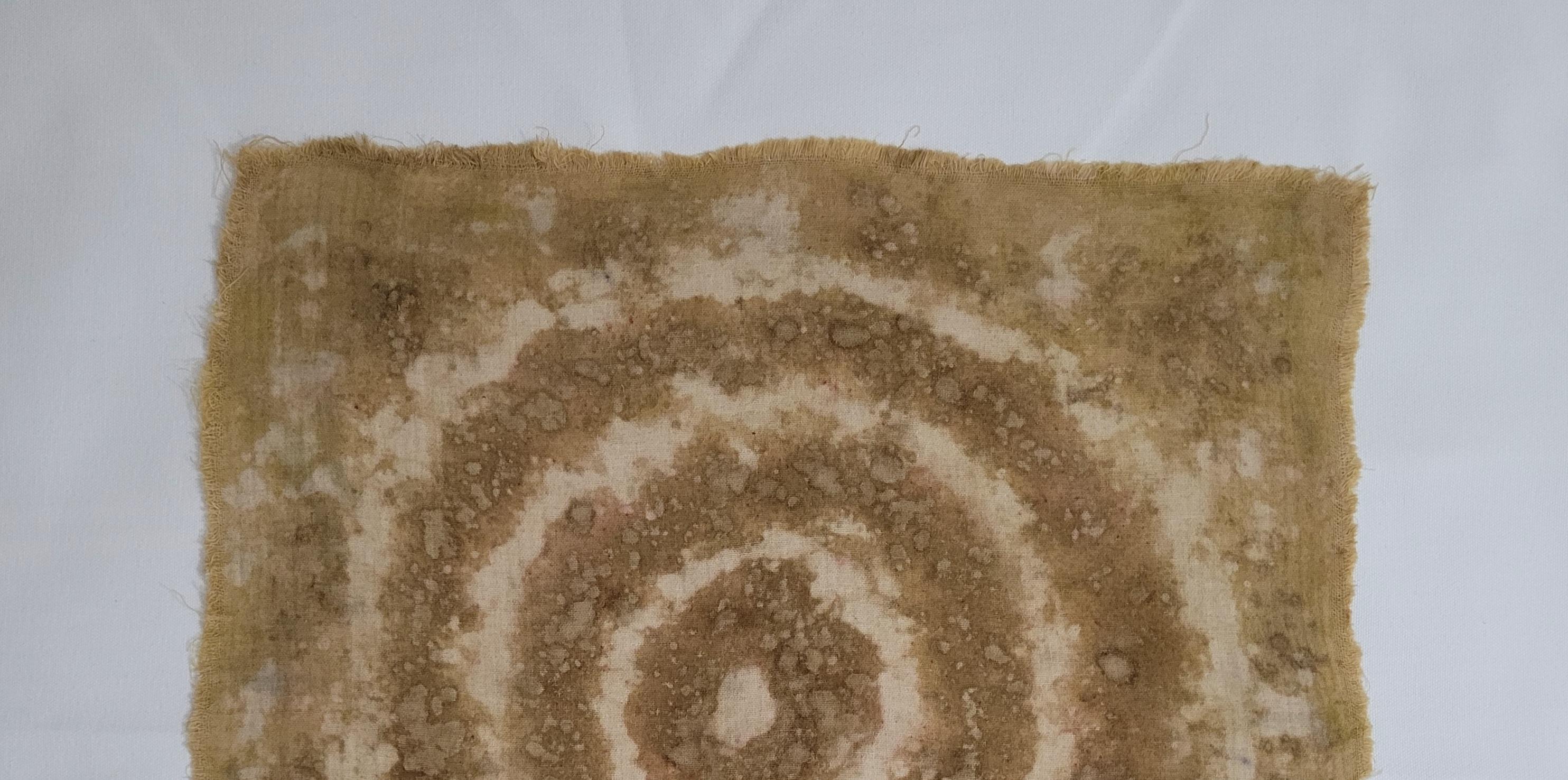 Moderno MEDITAZIONE (13) - Arte botanica tinta in pianta su mussola di cotone in vendita