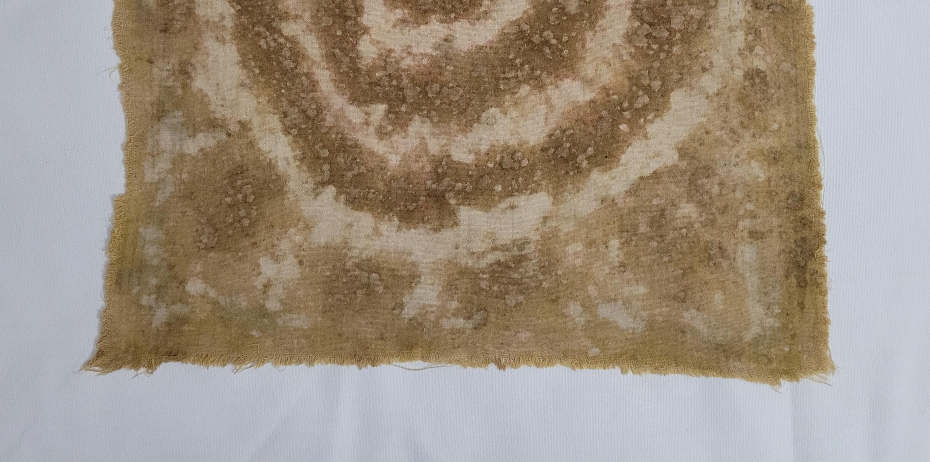 Turco MEDITAZIONE (13) - Arte botanica tinta in pianta su mussola di cotone in vendita