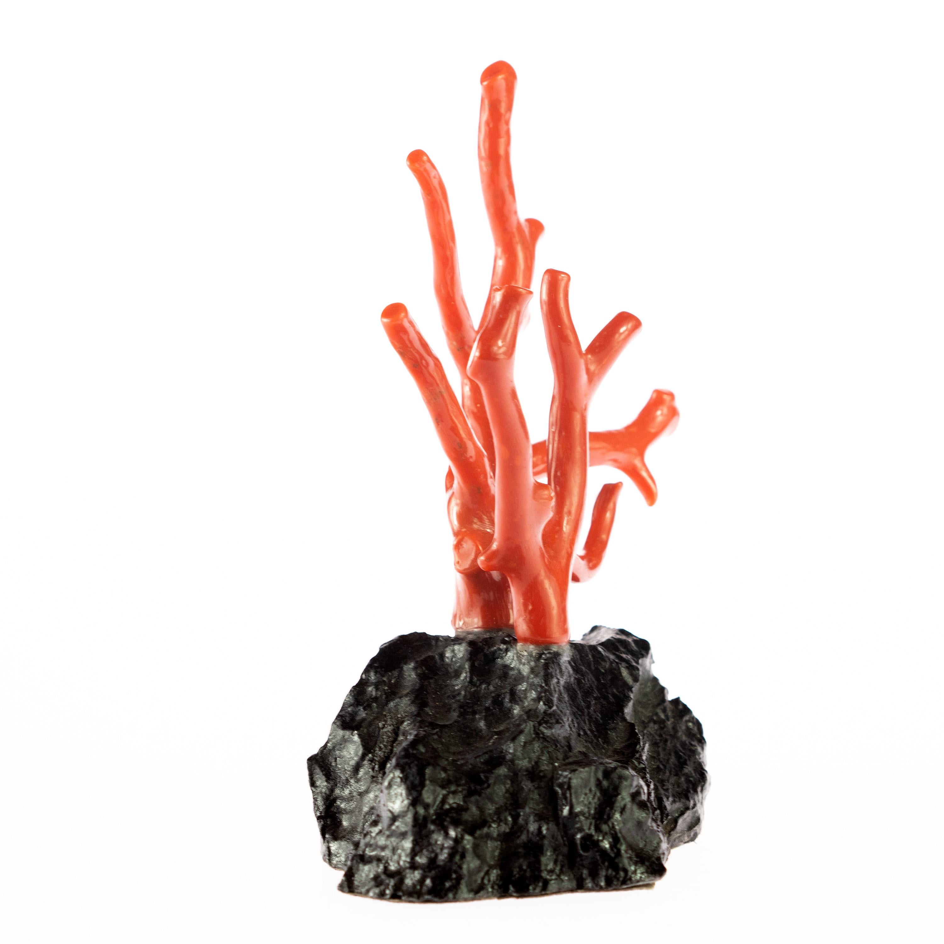 Exotic natural coral sculpture. Inspired in the reality and beauty of the ocean. Red mediterranean coral comes to live in a unique and natural form. The item has a black support made of obsidian.

Inspired by ancient mythology which holds that the