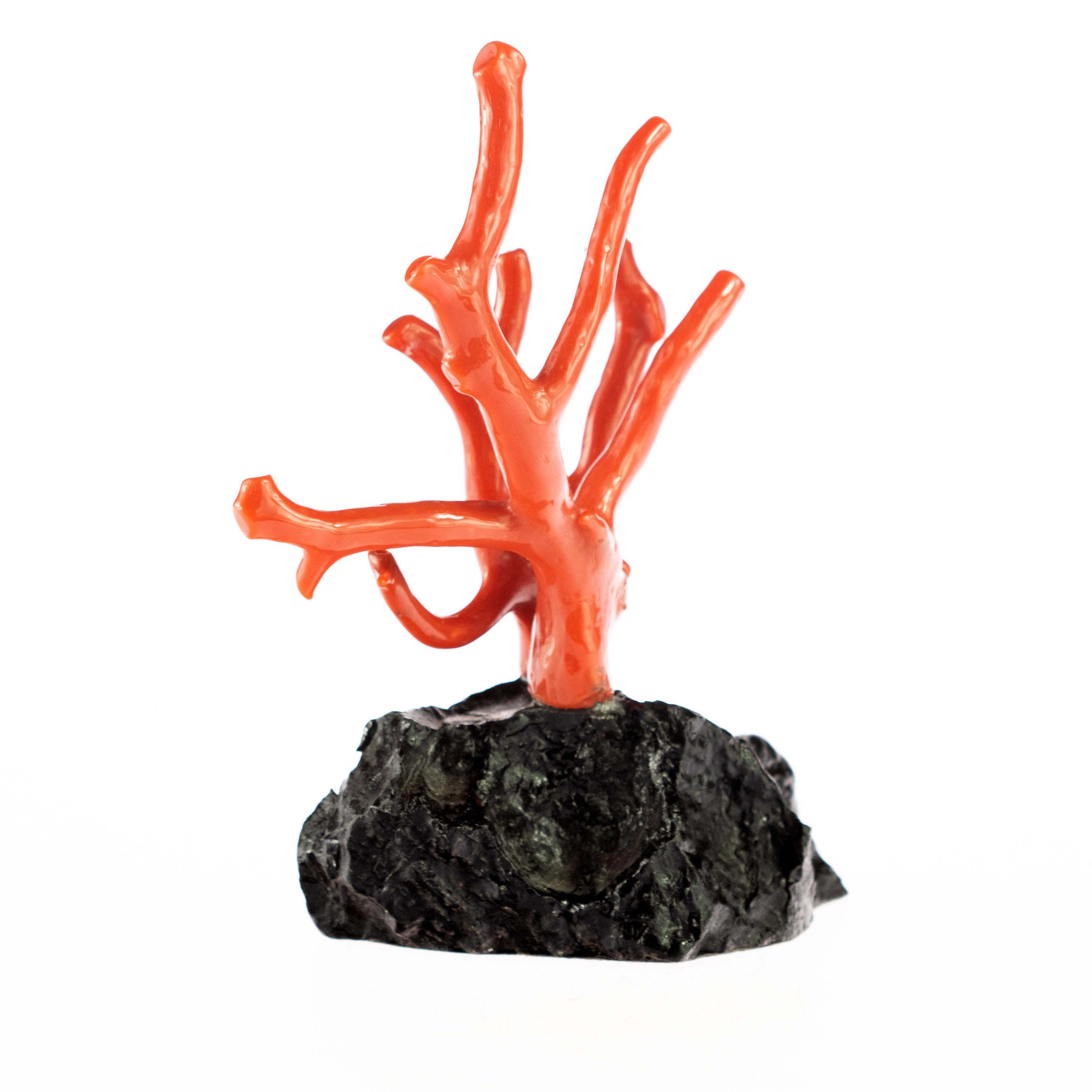 Modern Mediterranean Precious Red Coral Natural Tree Branch Art Statue Sculpture