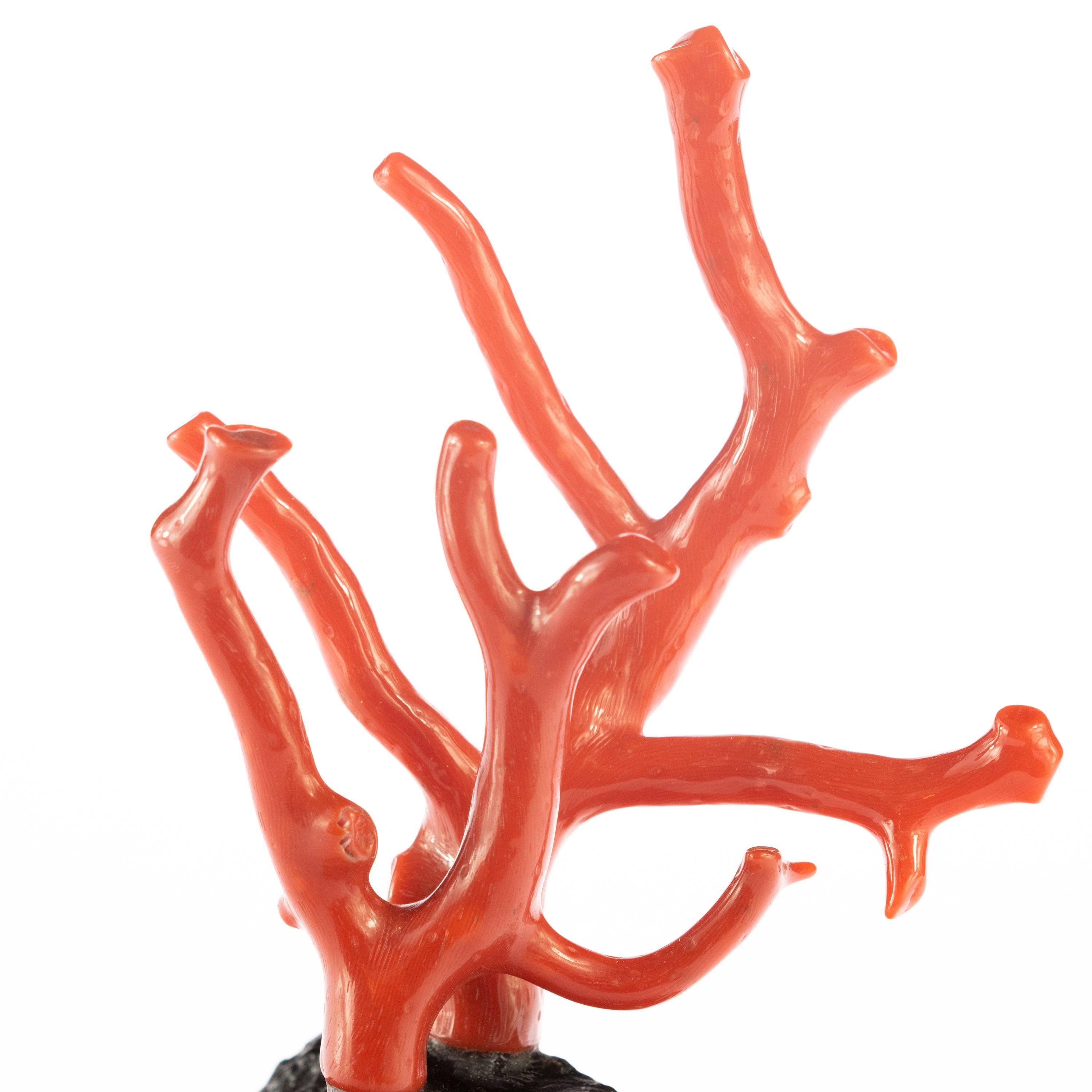 Contemporary Mediterranean Precious Red Coral Natural Tree Branch Art Statue Sculpture