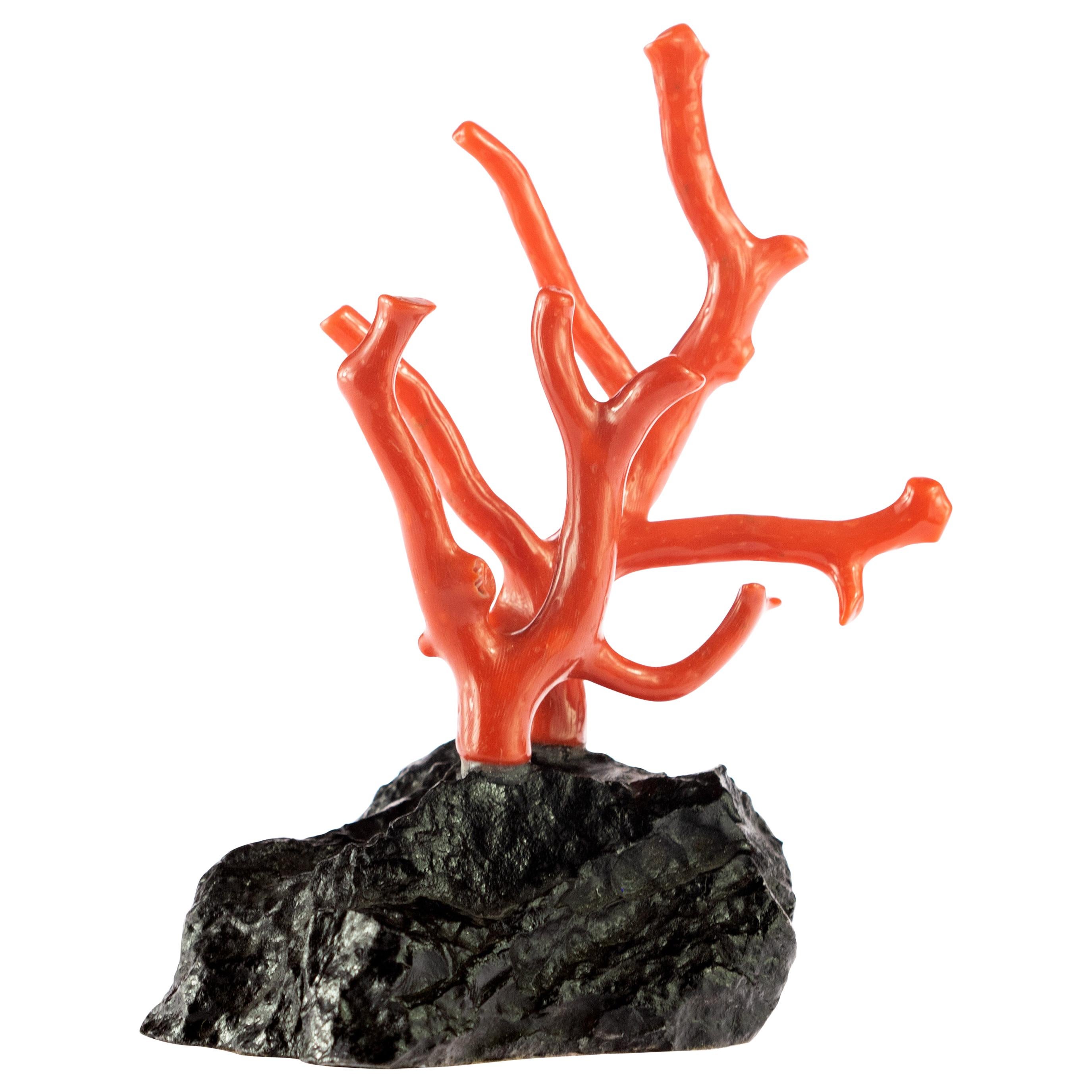 Mediterranean Precious Red Coral Natural Tree Branch Art Statue Sculpture