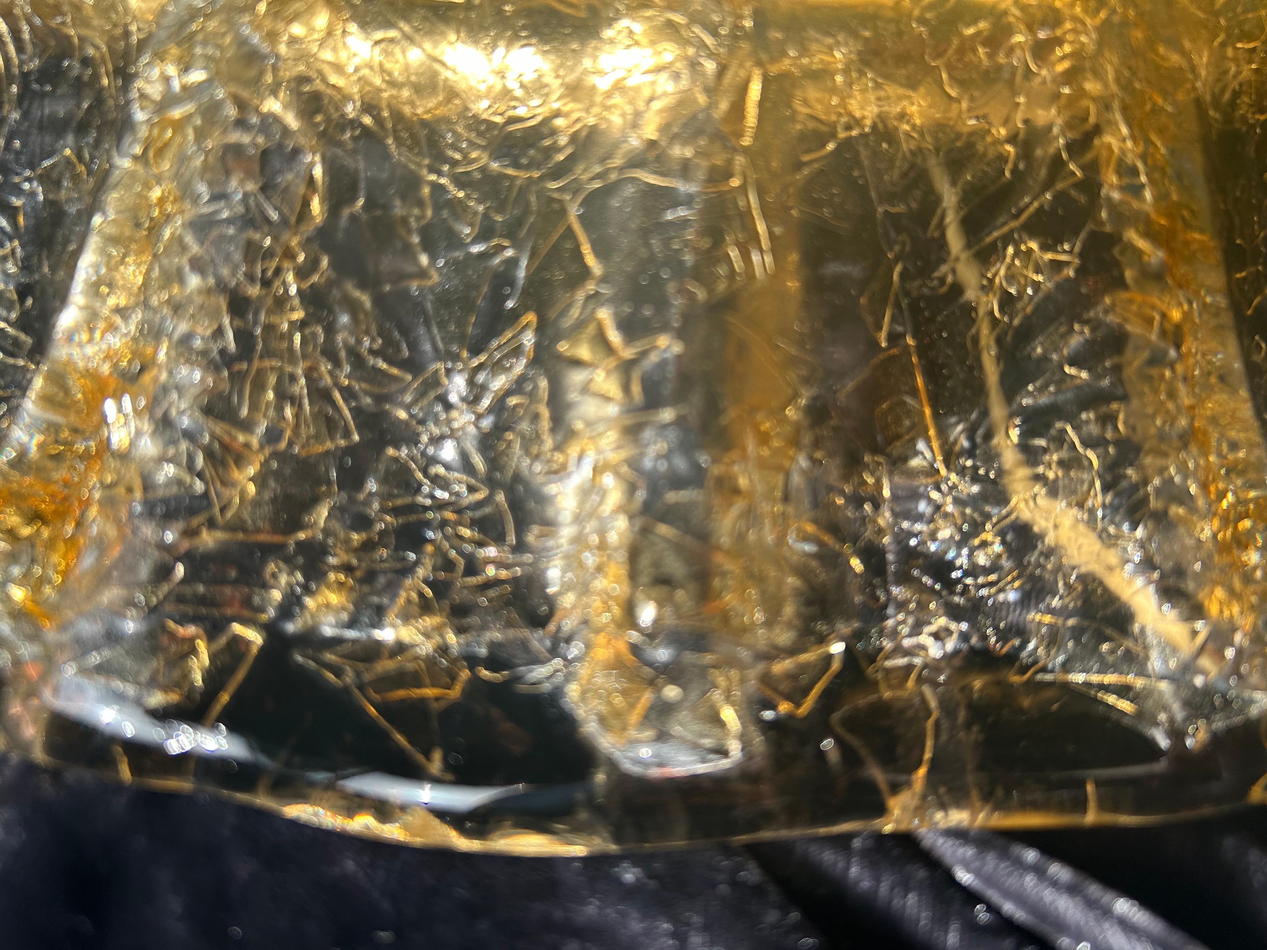 Fatto a mano Sole del Mediterraneo, spettacolare plafoniera di Murano, anni '90 in vendita